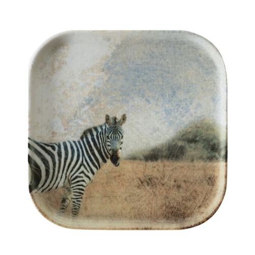  WILD KARE TABAK SETİ 17CM-6LI