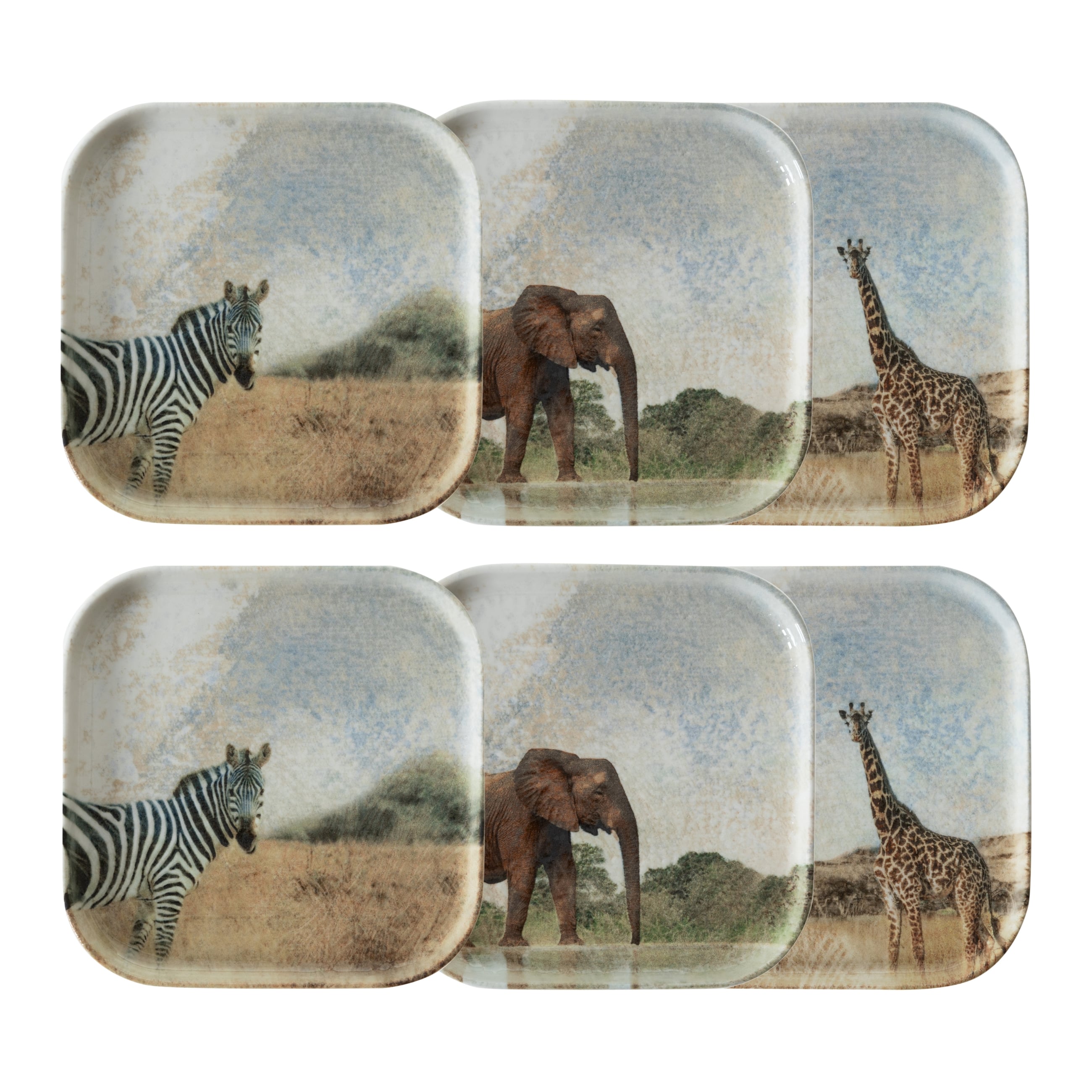 WILD KARE TABAK SETİ 17CM-6LI