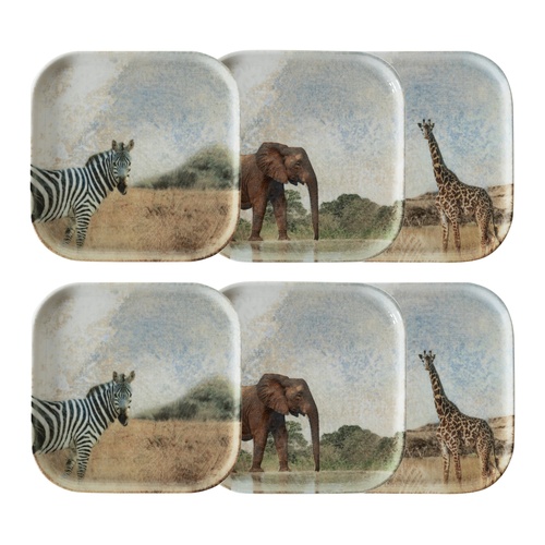  WILD KARE TABAK SETİ 17CM-6LI