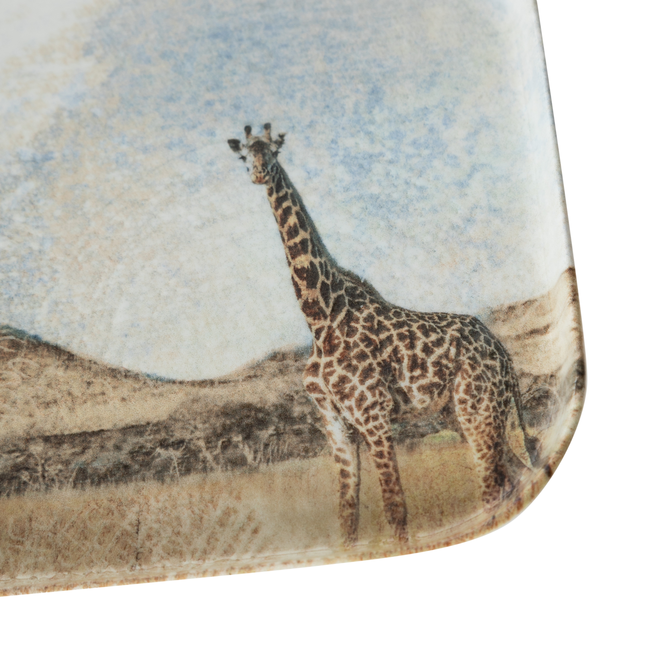 WILD KARE TABAK SETİ 17CM-6LI