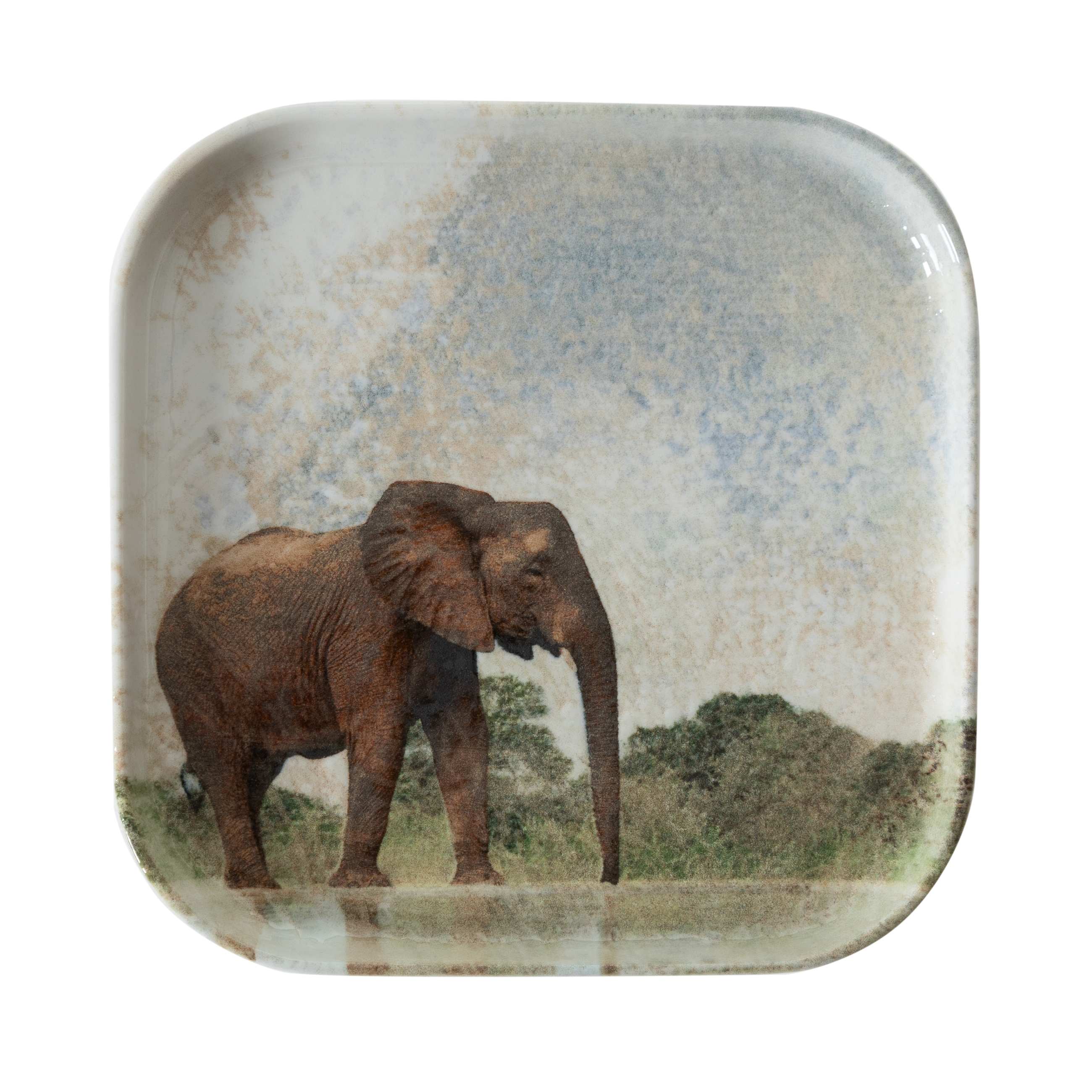 WILD KARE TABAK SETİ 17CM-6LI