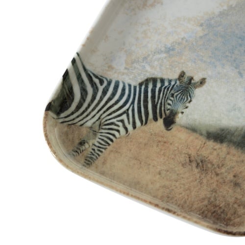  WILD KARE TABAK SETİ 17CM-6LI