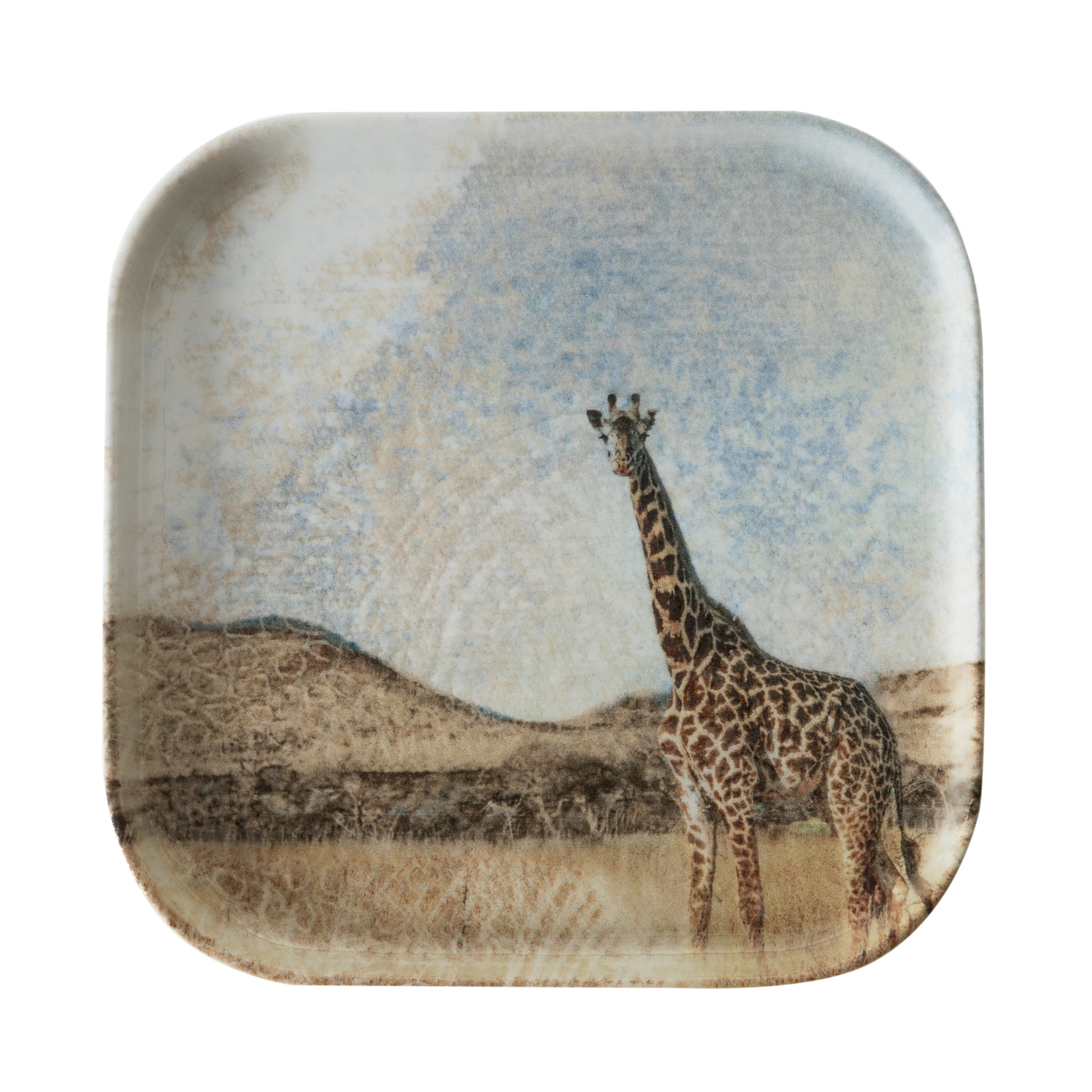 WILD KARE TABAK SETİ 17CM-6LI