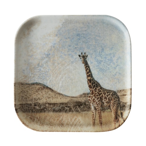  WILD KARE TABAK SETİ 17CM-6LI