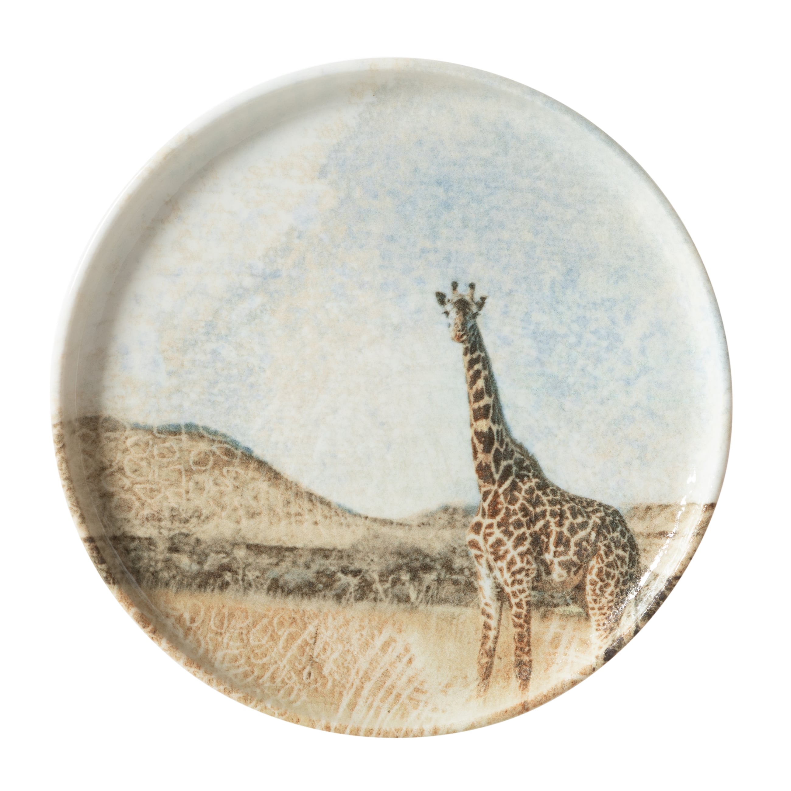 WILD PASTA TABAĞI SETİ 20CM-6LI