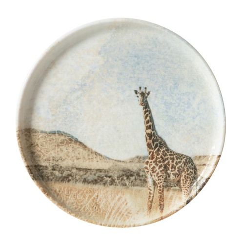  WILD PASTA TABAĞI SETİ 20CM-6LI