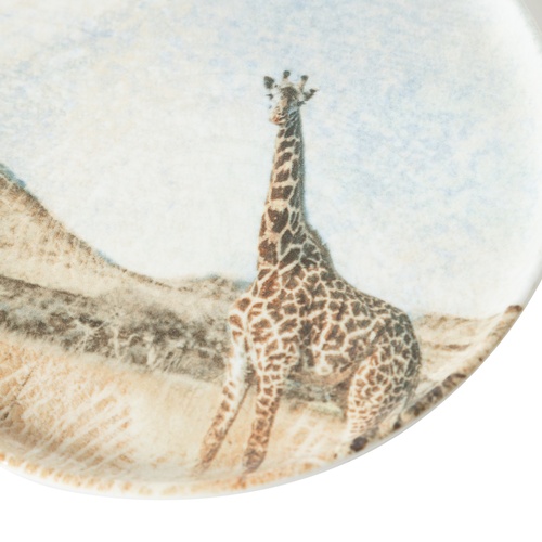  WILD PASTA TABAĞI SETİ 20CM-6LI