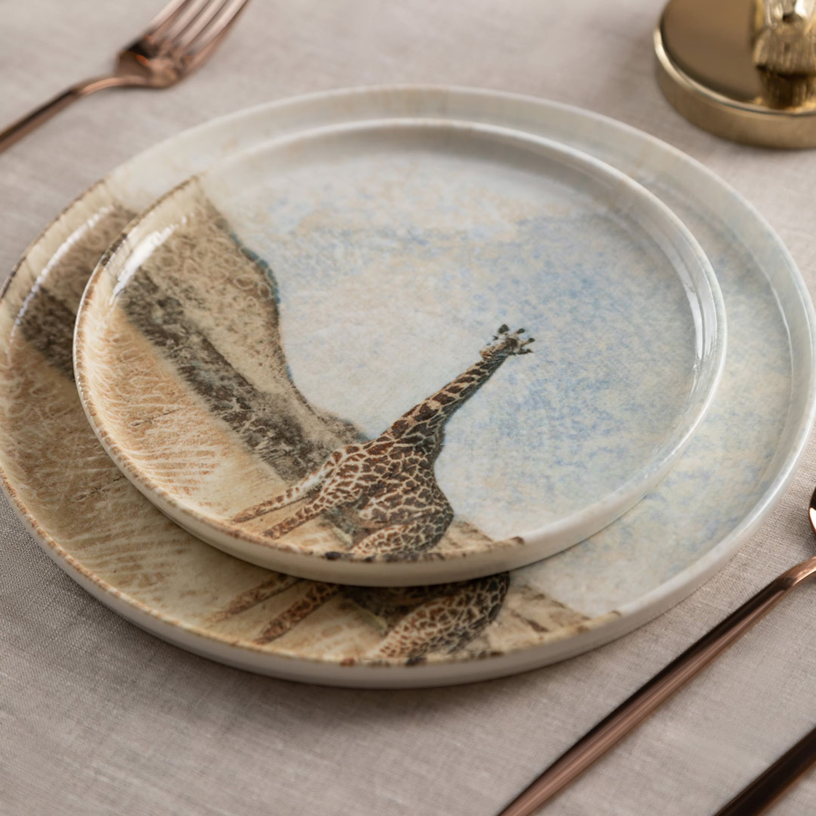 WILD PASTA TABAĞI SETİ 20CM-6LI