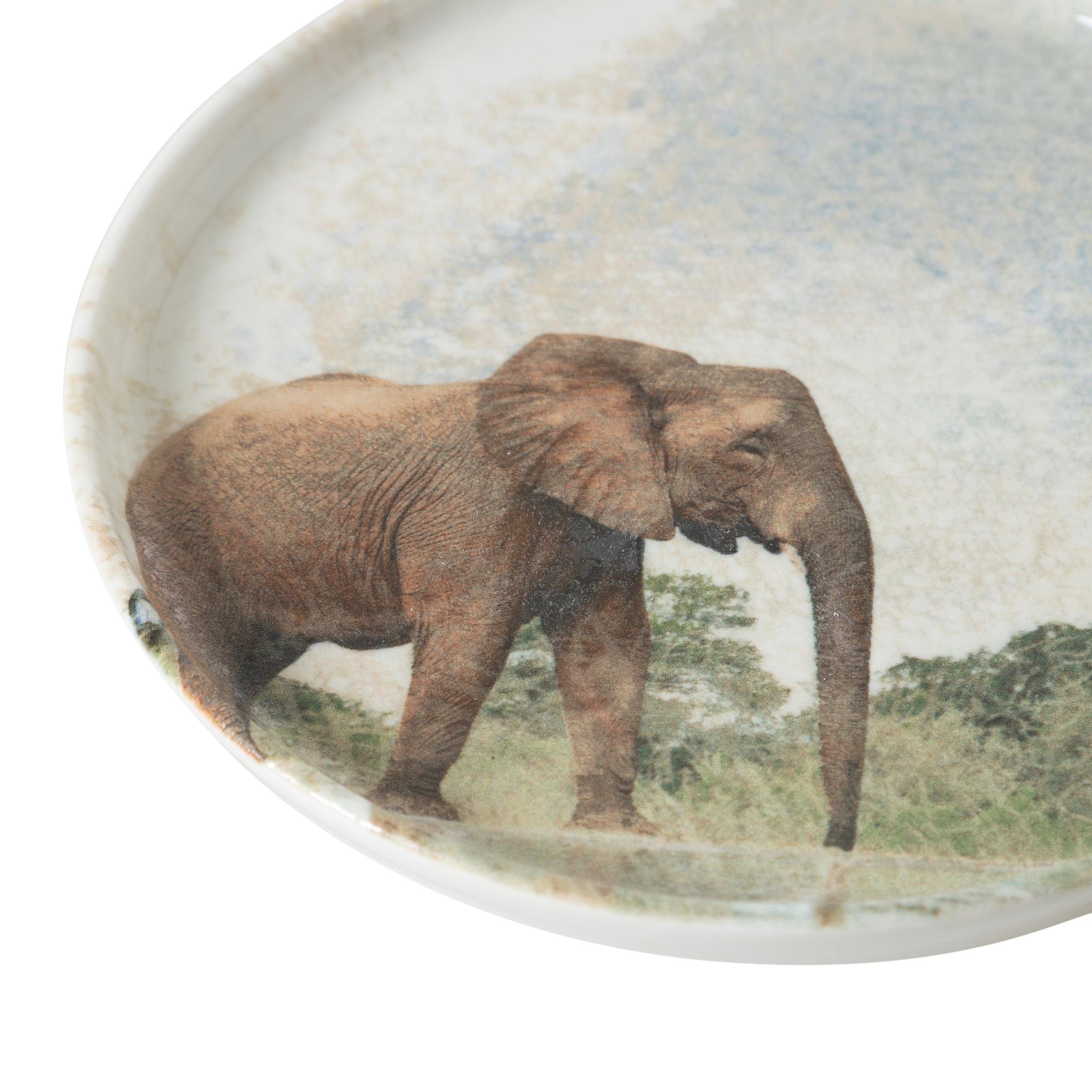 WILD PASTA TABAĞI SETİ 20CM-6LI