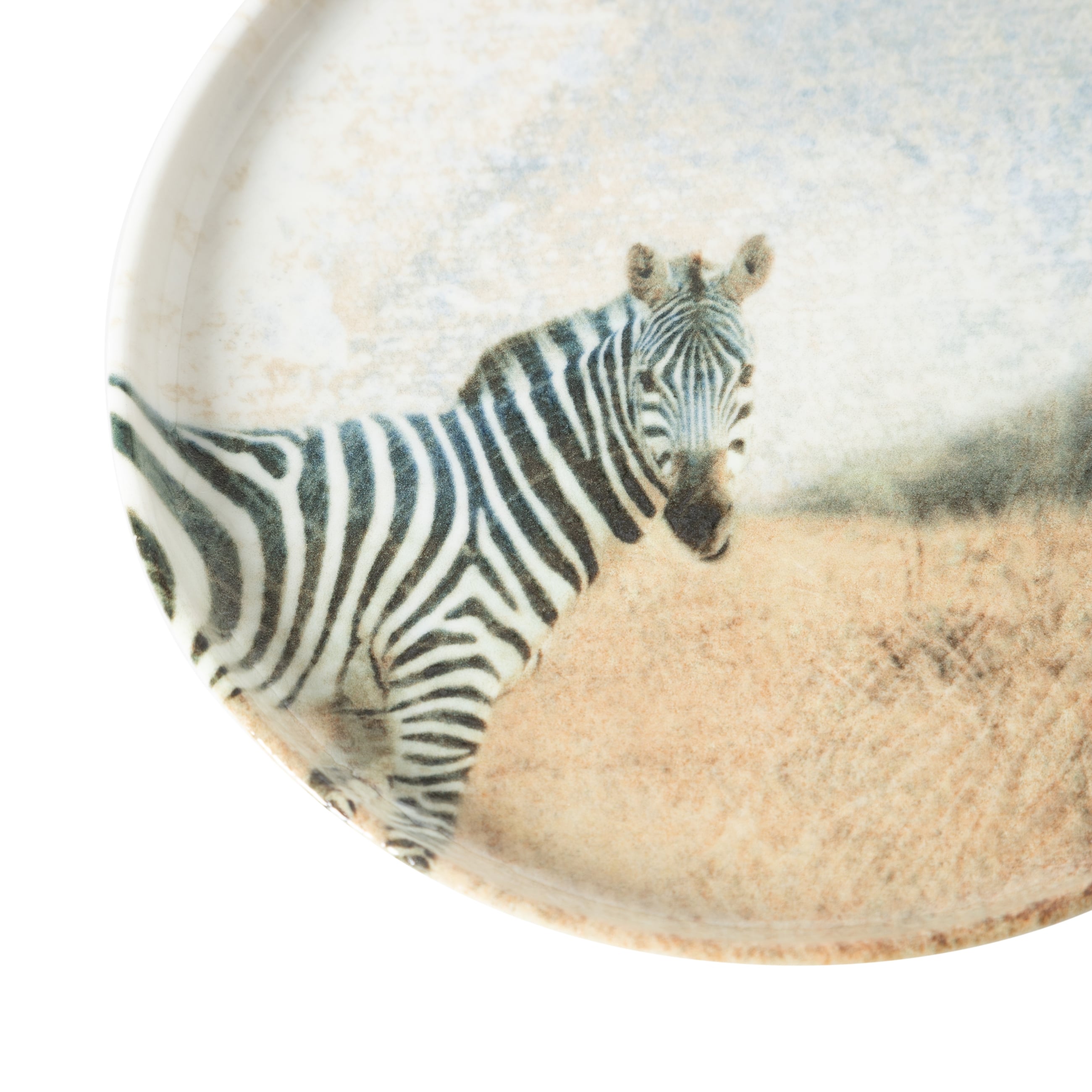 WILD PASTA TABAĞI SETİ 20CM-6LI