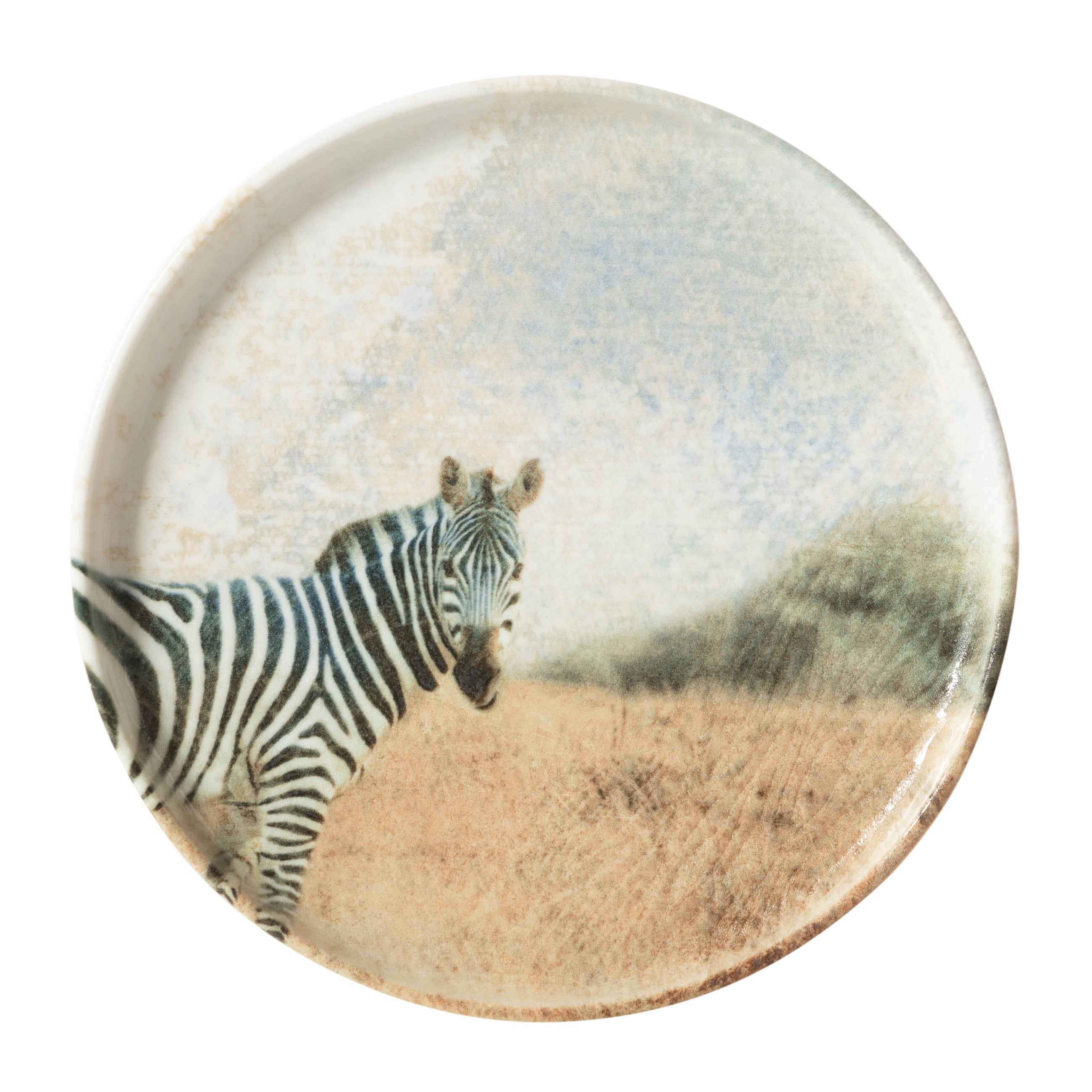 WILD PASTA TABAĞI SETİ 20CM-6LI