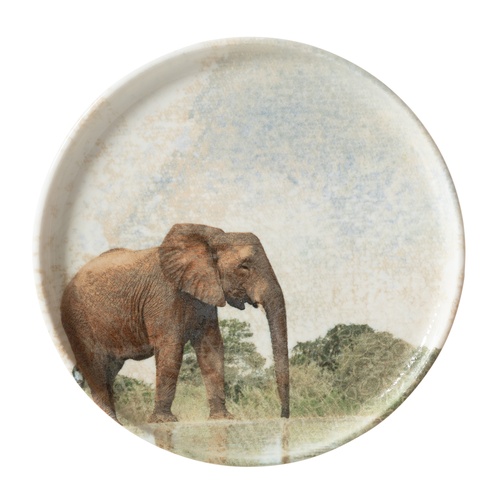  WILD PASTA TABAĞI SETİ 20CM-6LI