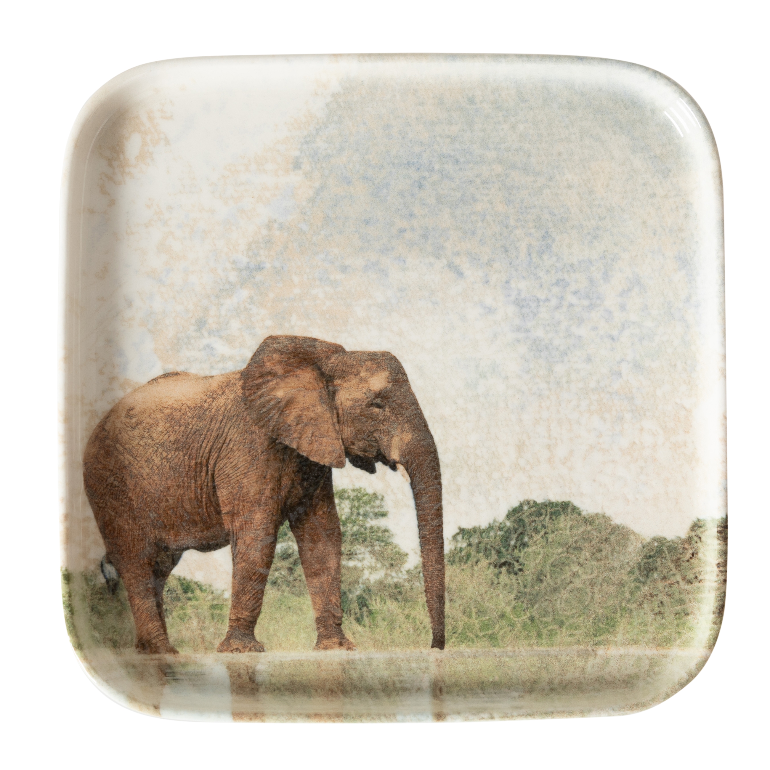 WILD KARE TABAK SETİ 22CM-6LI