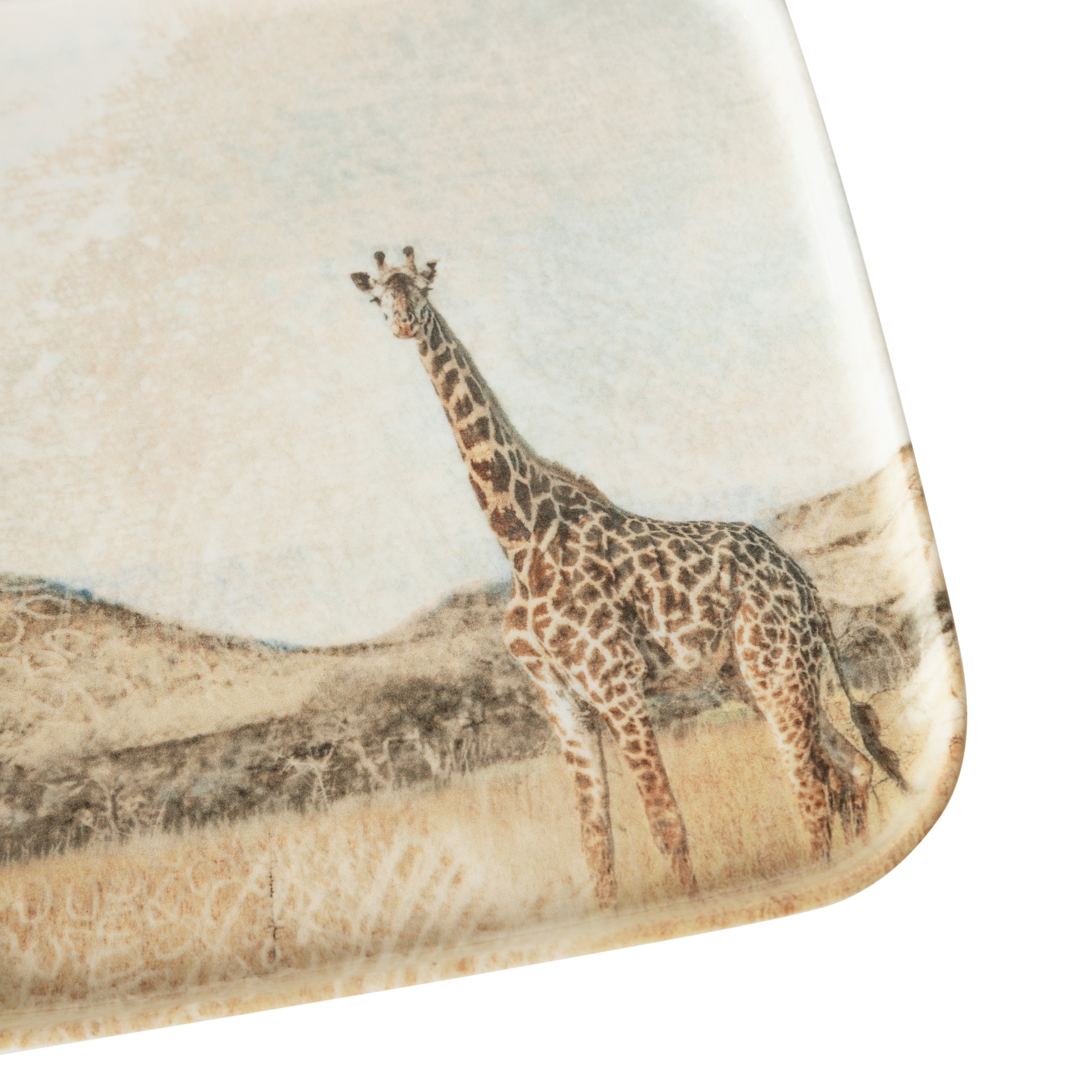 WILD KARE TABAK SETİ 22CM-6LI