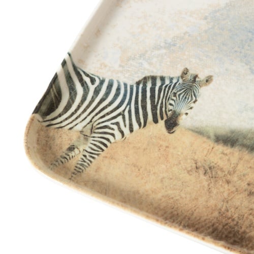  WILD KARE TABAK SETİ 22CM-6LI