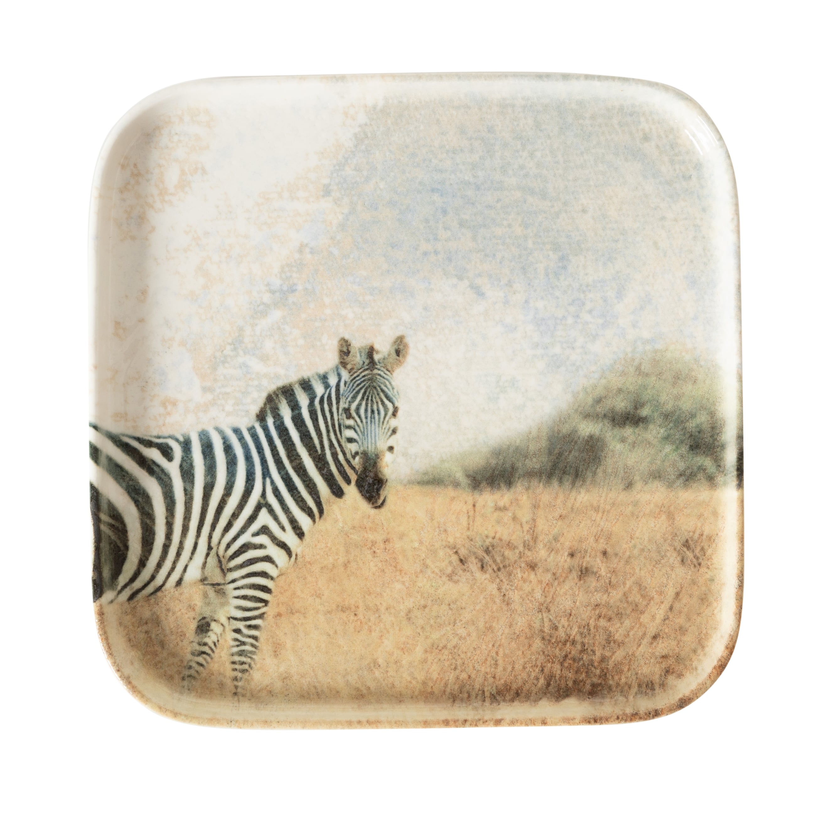 WILD KARE TABAK SETİ 22CM-6LI