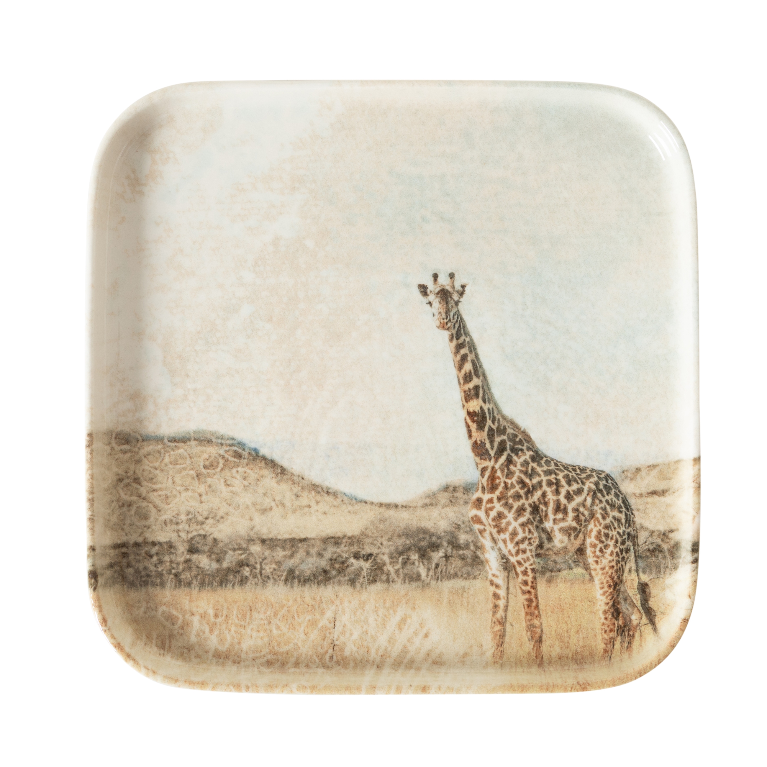 WILD KARE TABAK SETİ 22CM-6LI