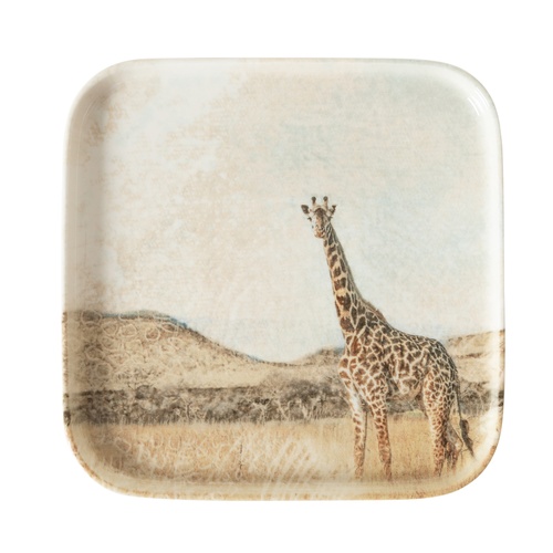  WILD KARE TABAK SETİ 22CM-6LI