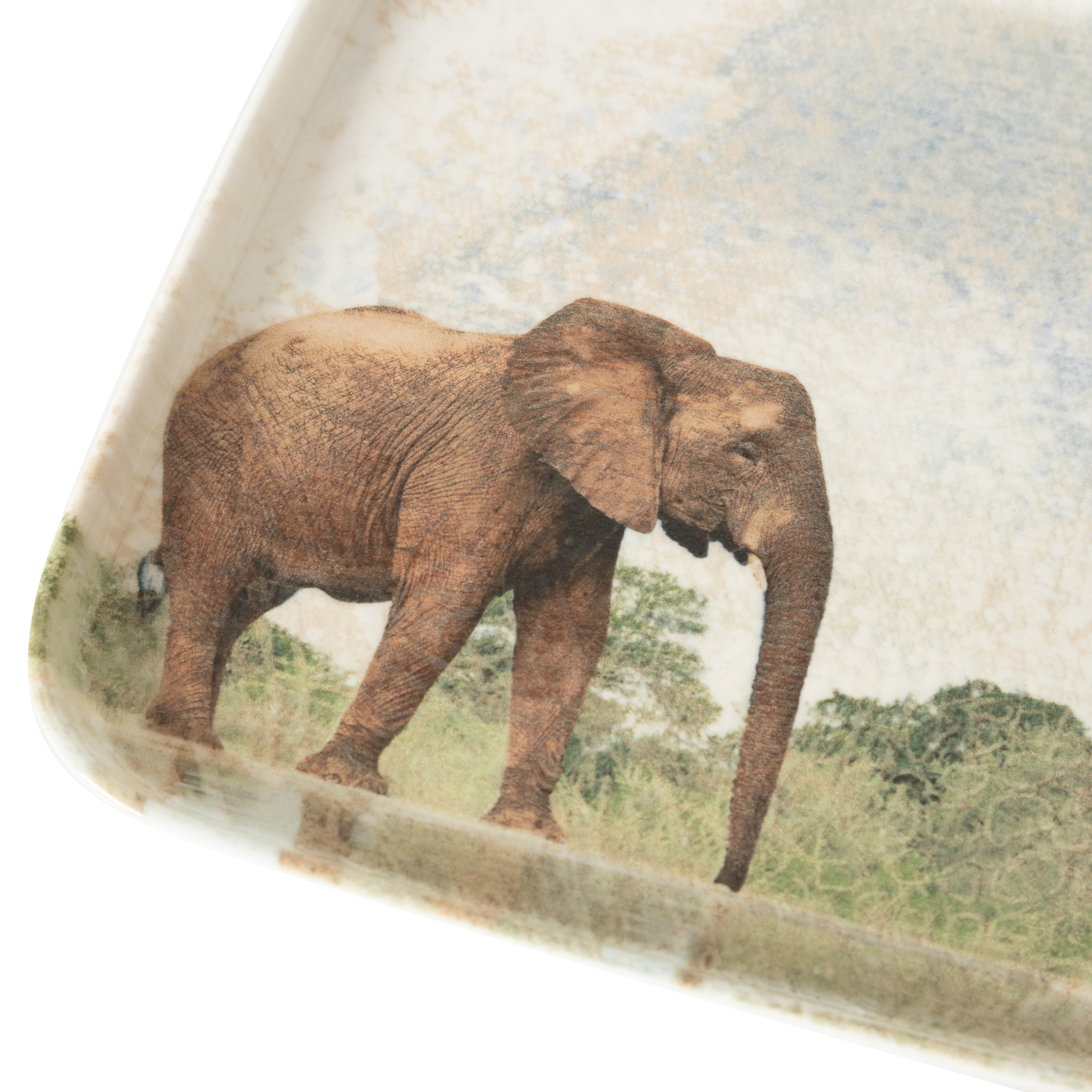 WILD KARE TABAK SETİ 22CM-6LI