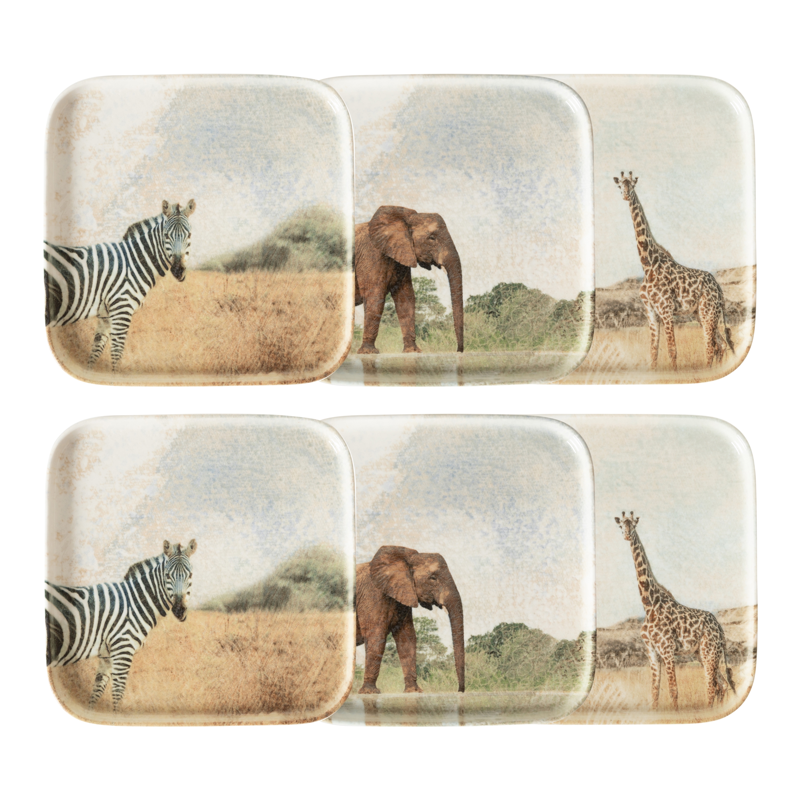 WILD KARE TABAK SETİ 22CM-6LI