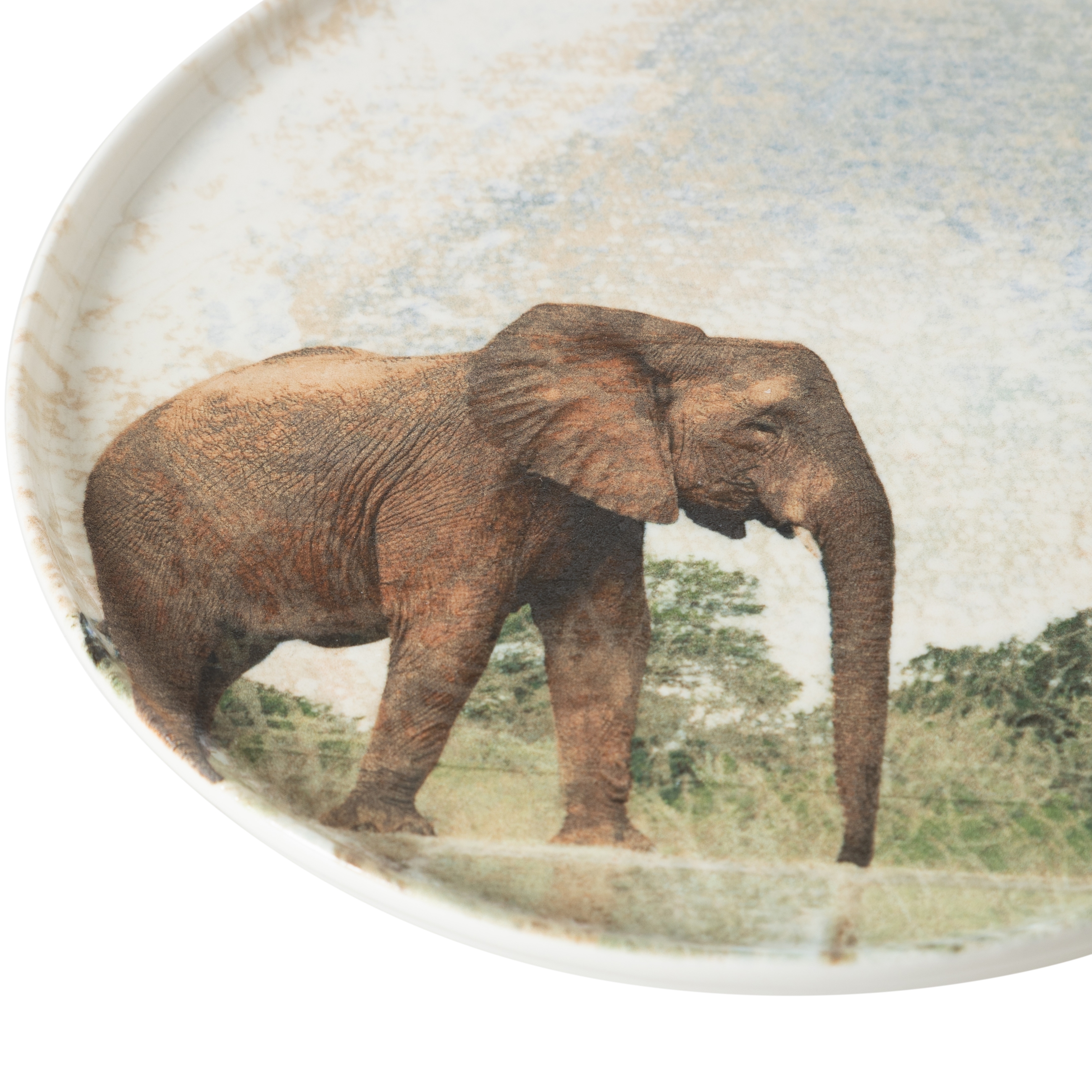 WILD SERVİS TABAĞI SETİ 26CM-6LI