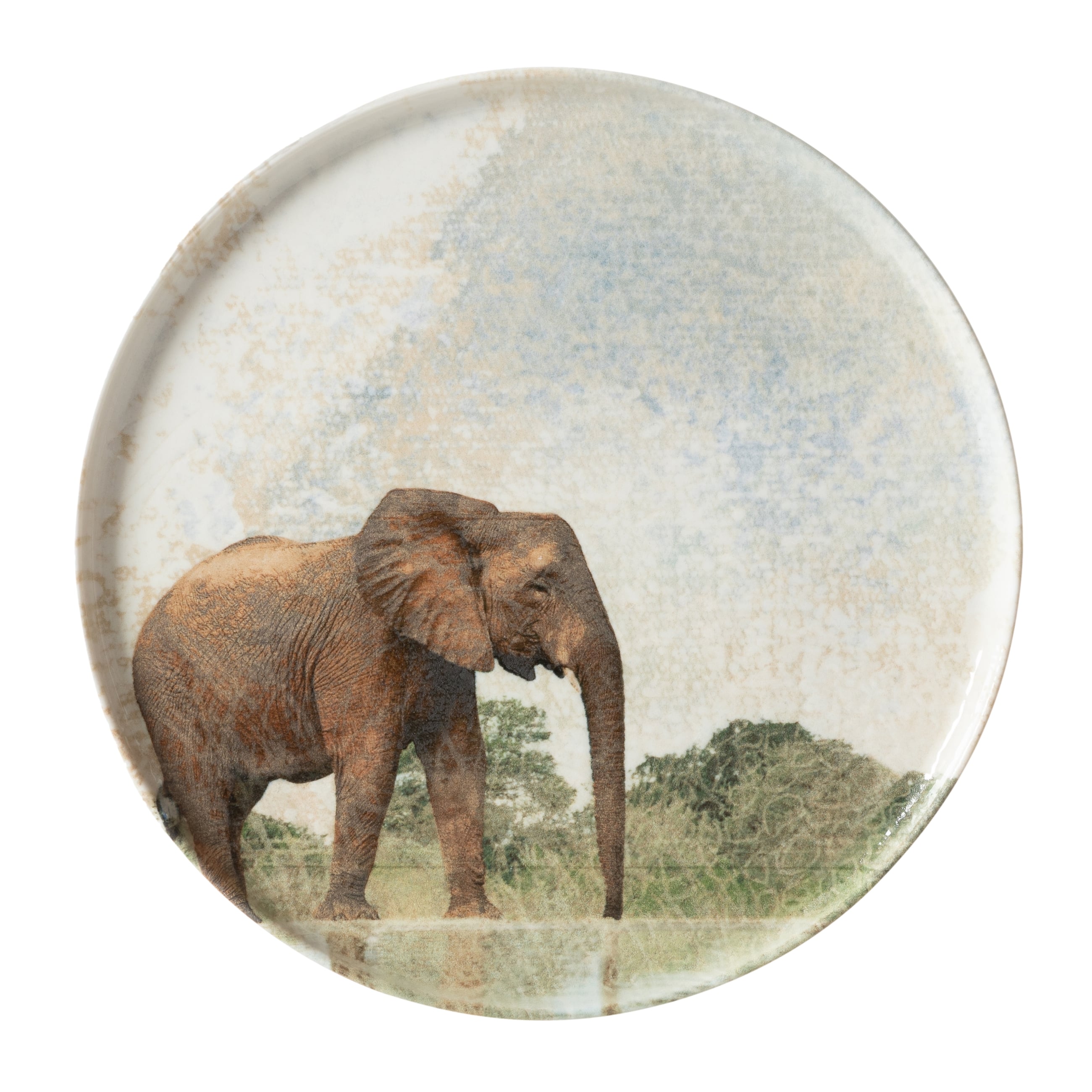 WILD SERVİS TABAĞI SETİ 26CM-6LI