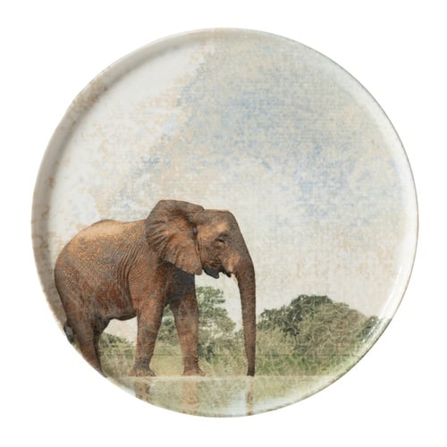  WILD SERVİS TABAĞI SETİ 26CM-6LI