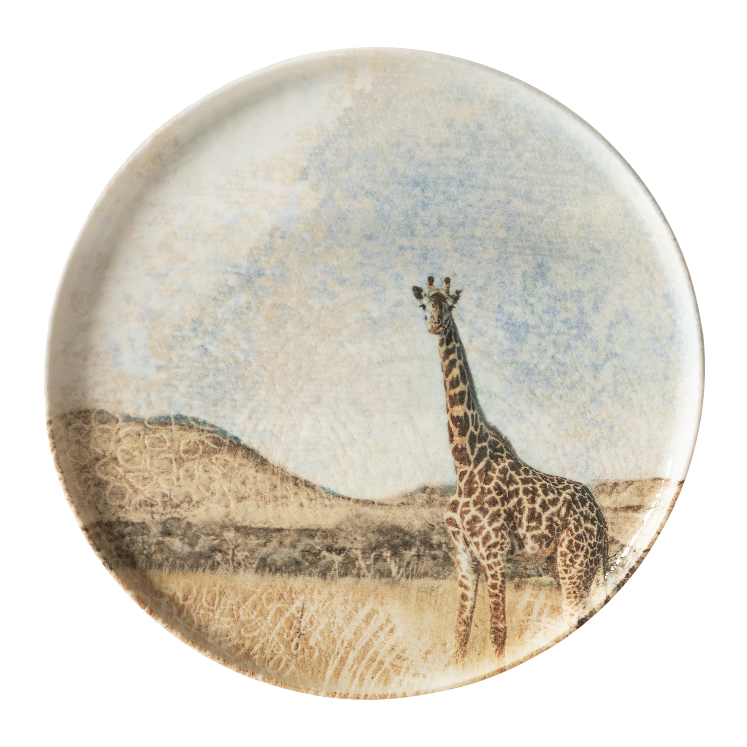 WILD SERVİS TABAĞI SETİ 26CM-6LI