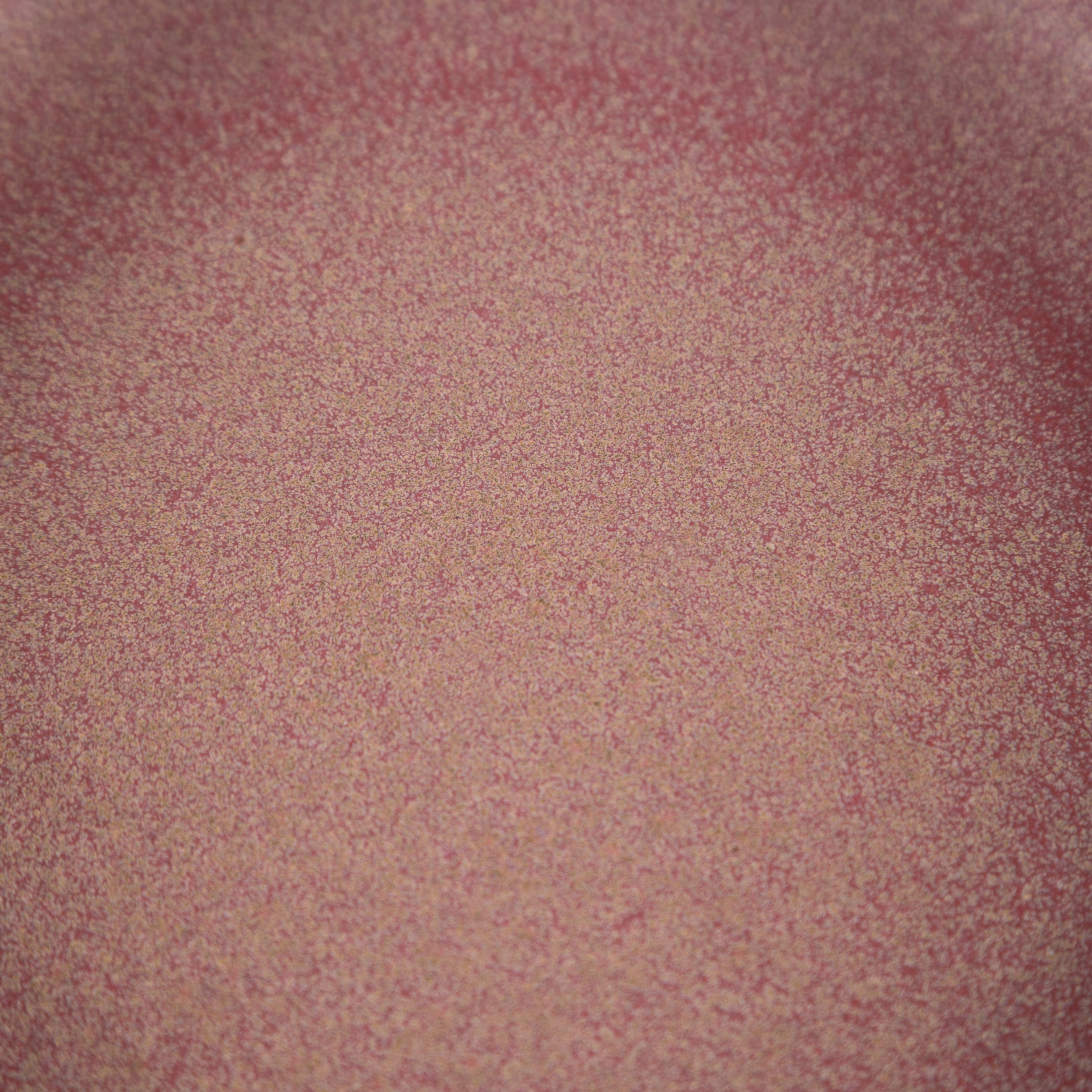 PETRIE HANDMADE PASTA TABAĞI 22CM