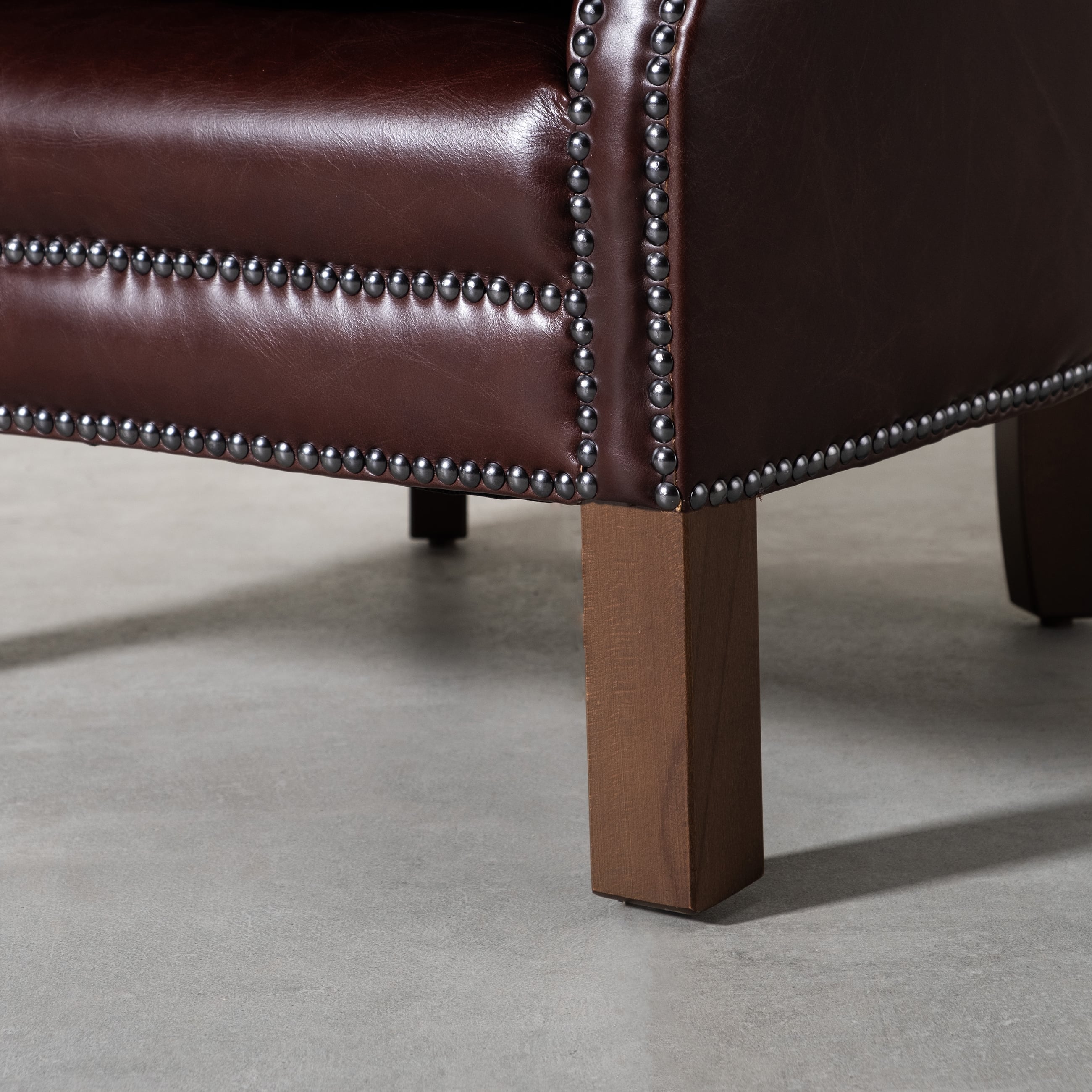 PROFESSOR DERİ BERJER BIKER TAN