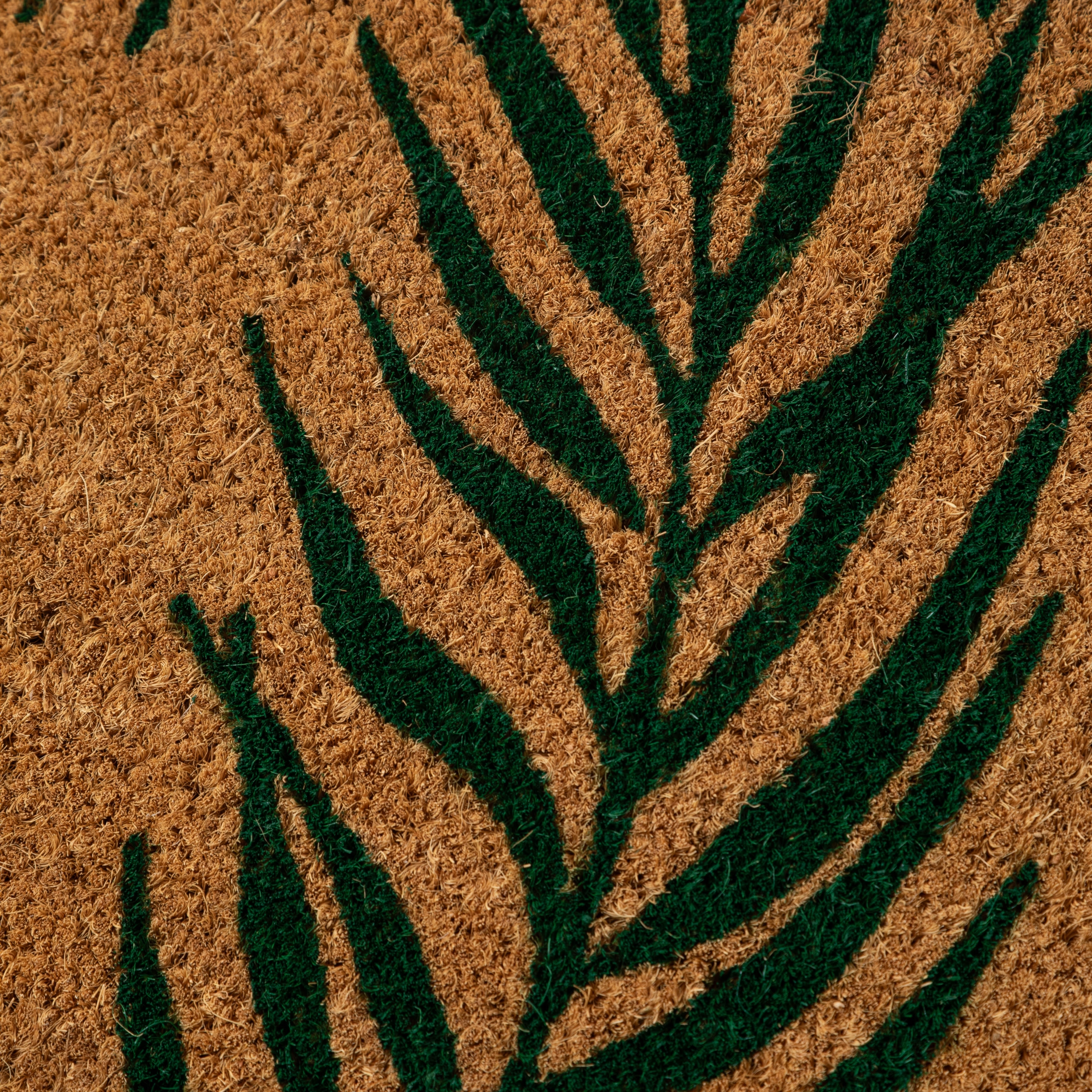 TROPICAL KAPI PASPASI 40X60