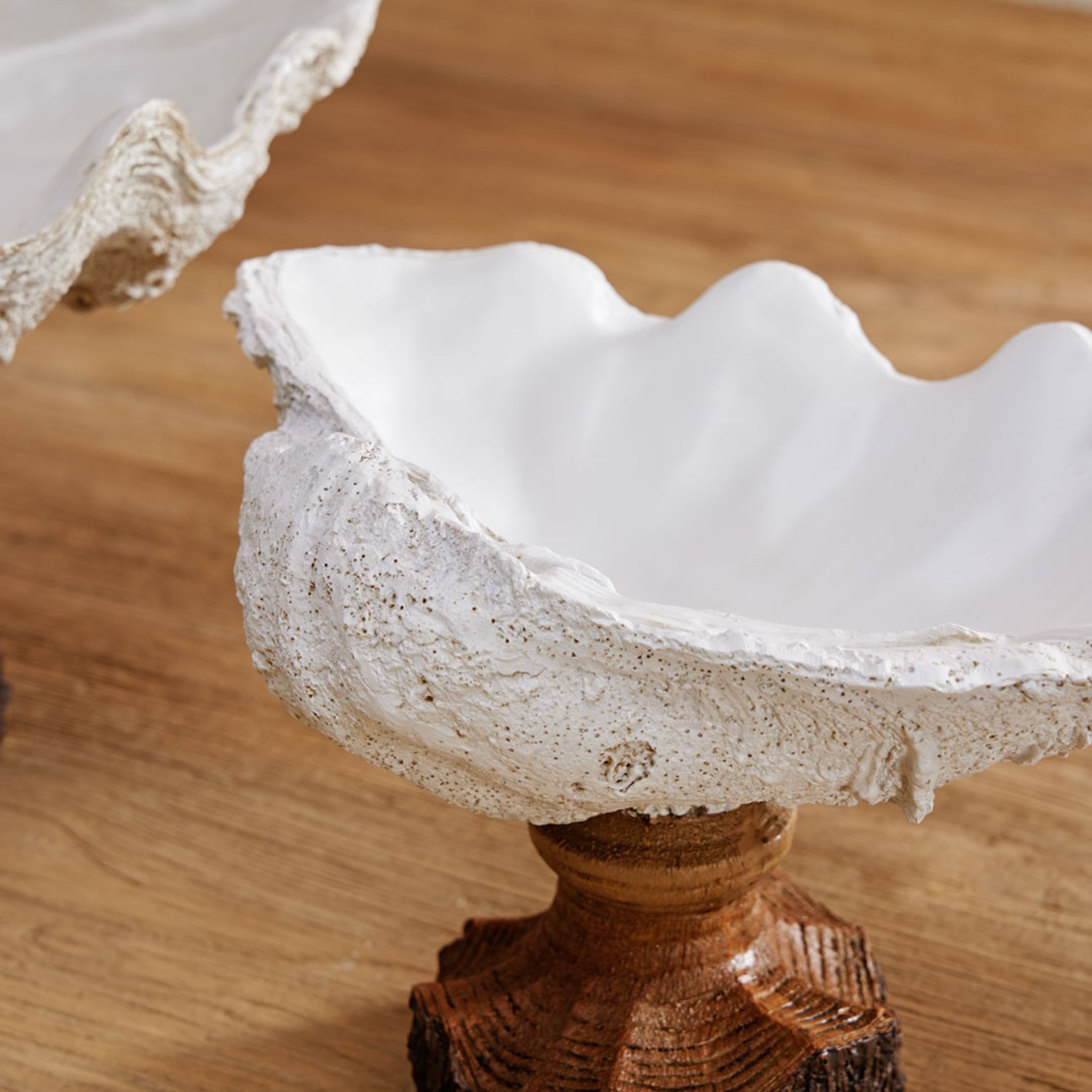 SHELL DEKORATİF KASE BEYAZ 34X22X20 CM