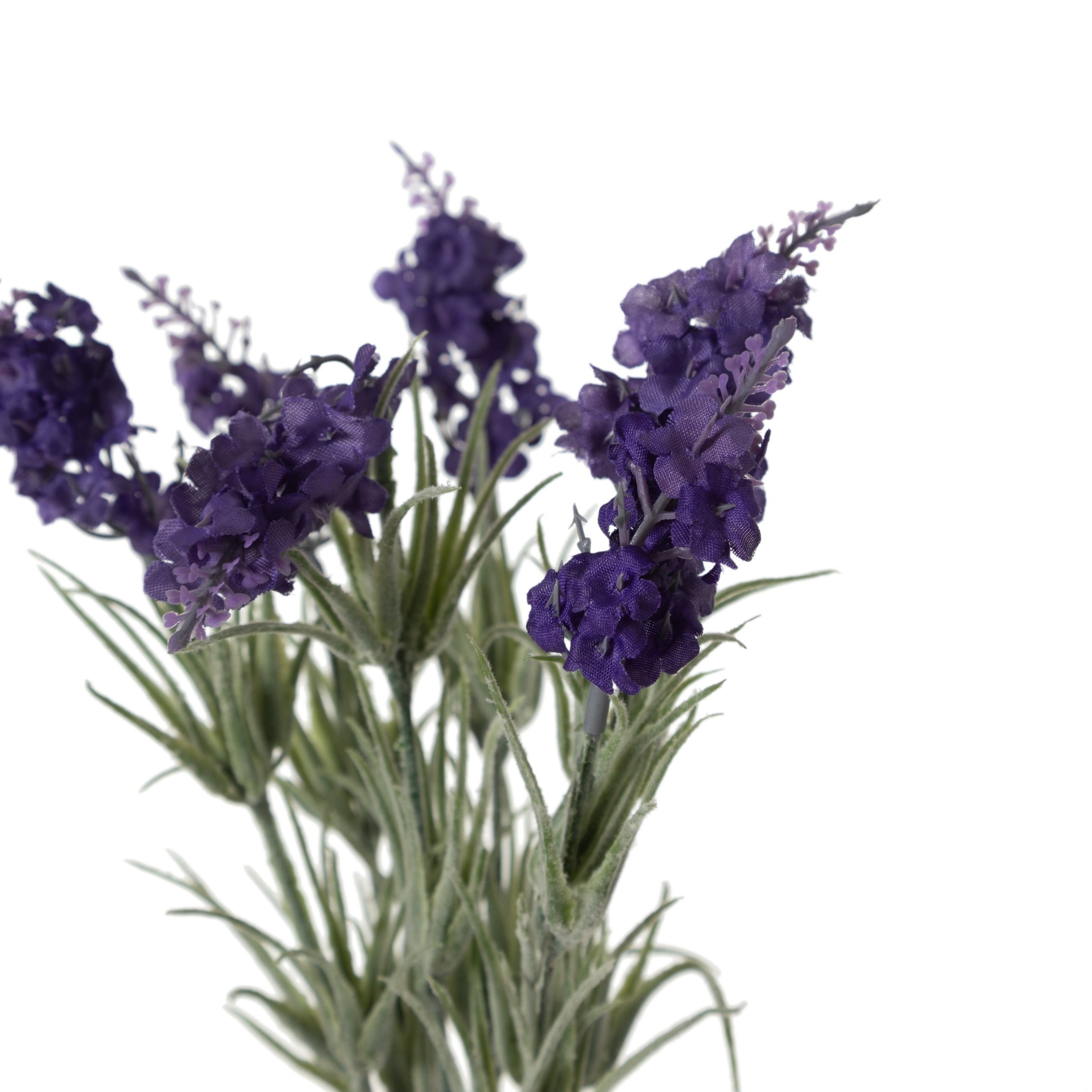 LAVANTA DEMETİ 33CM