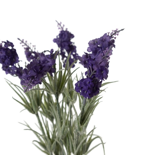  LAVANTA DEMETİ 33CM