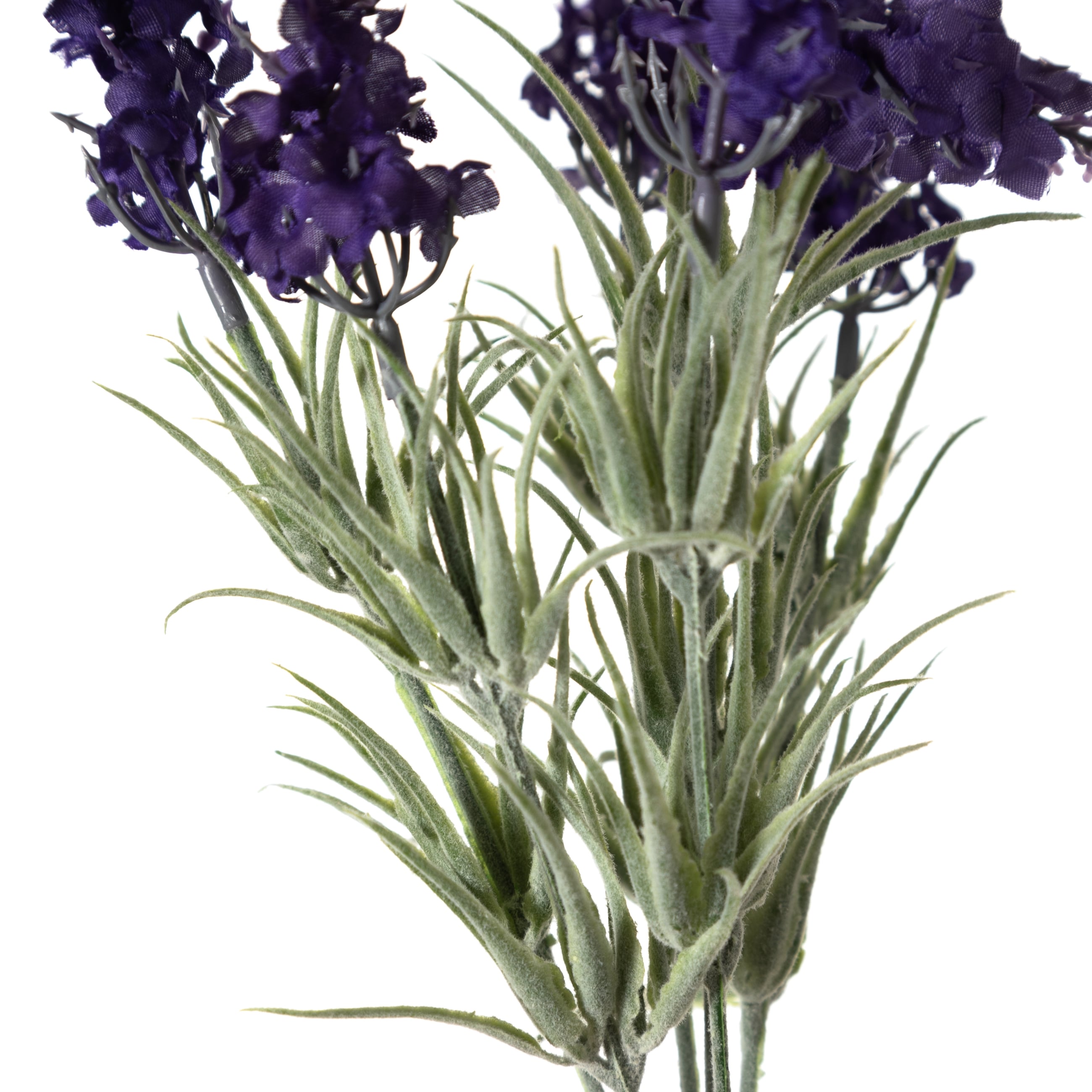 LAVANTA DEMETİ 33CM