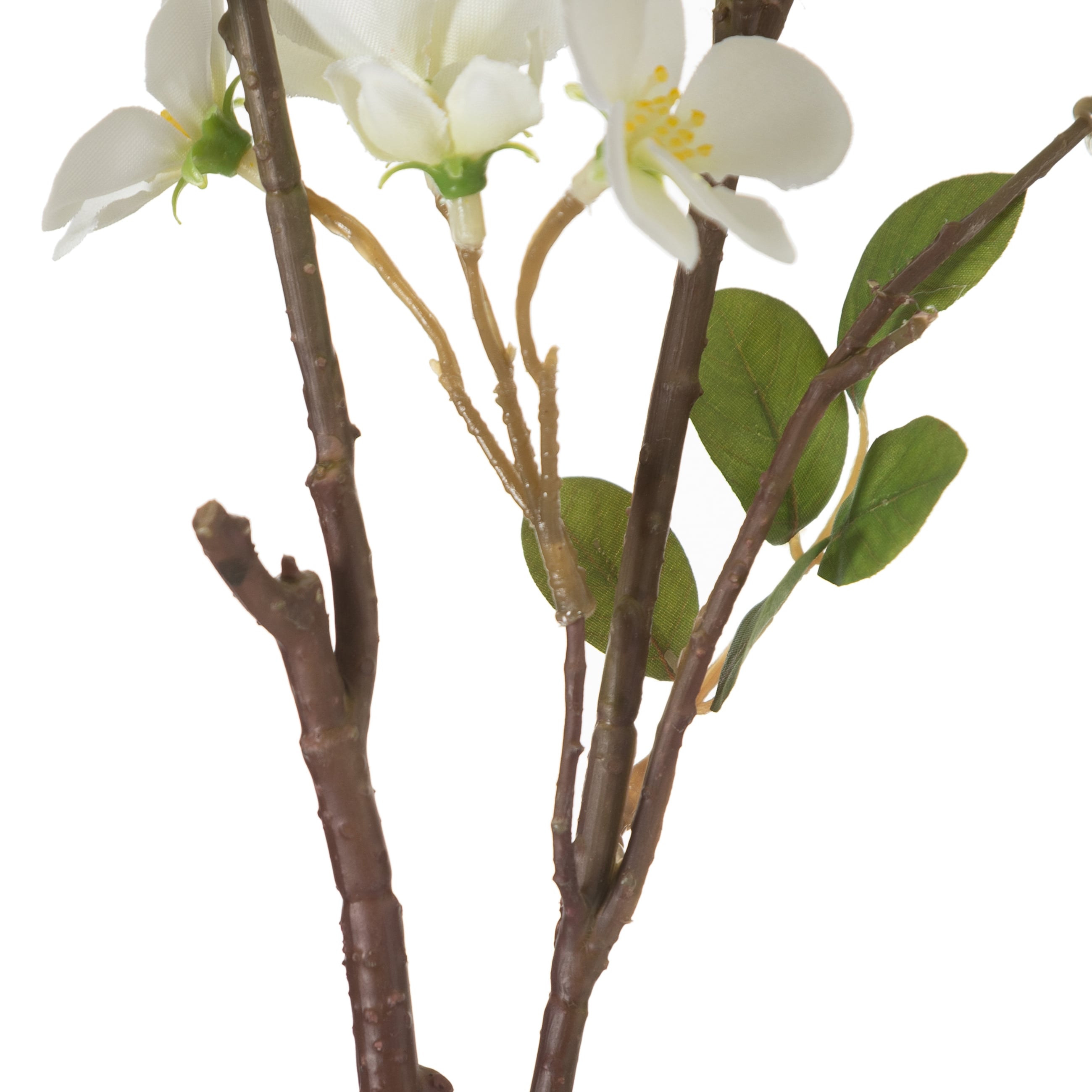 BEGONYA ÇİÇEĞİ 88CM