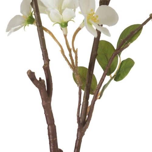 BEGONYA ÇİÇEĞİ 88CM