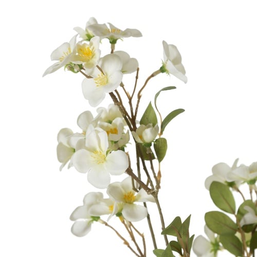 BEGONYA ÇİÇEĞİ 88CM