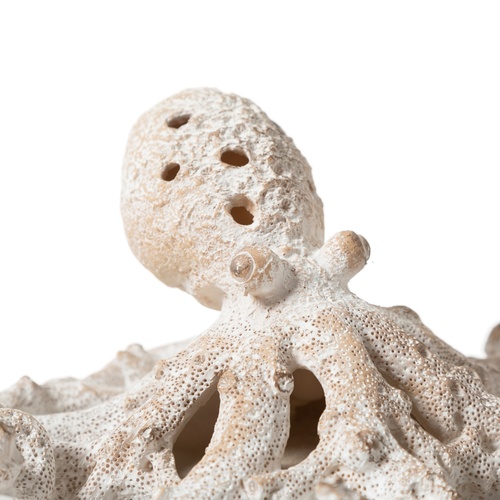  POLPO BEYAZ BİBLO 28X24X12CM