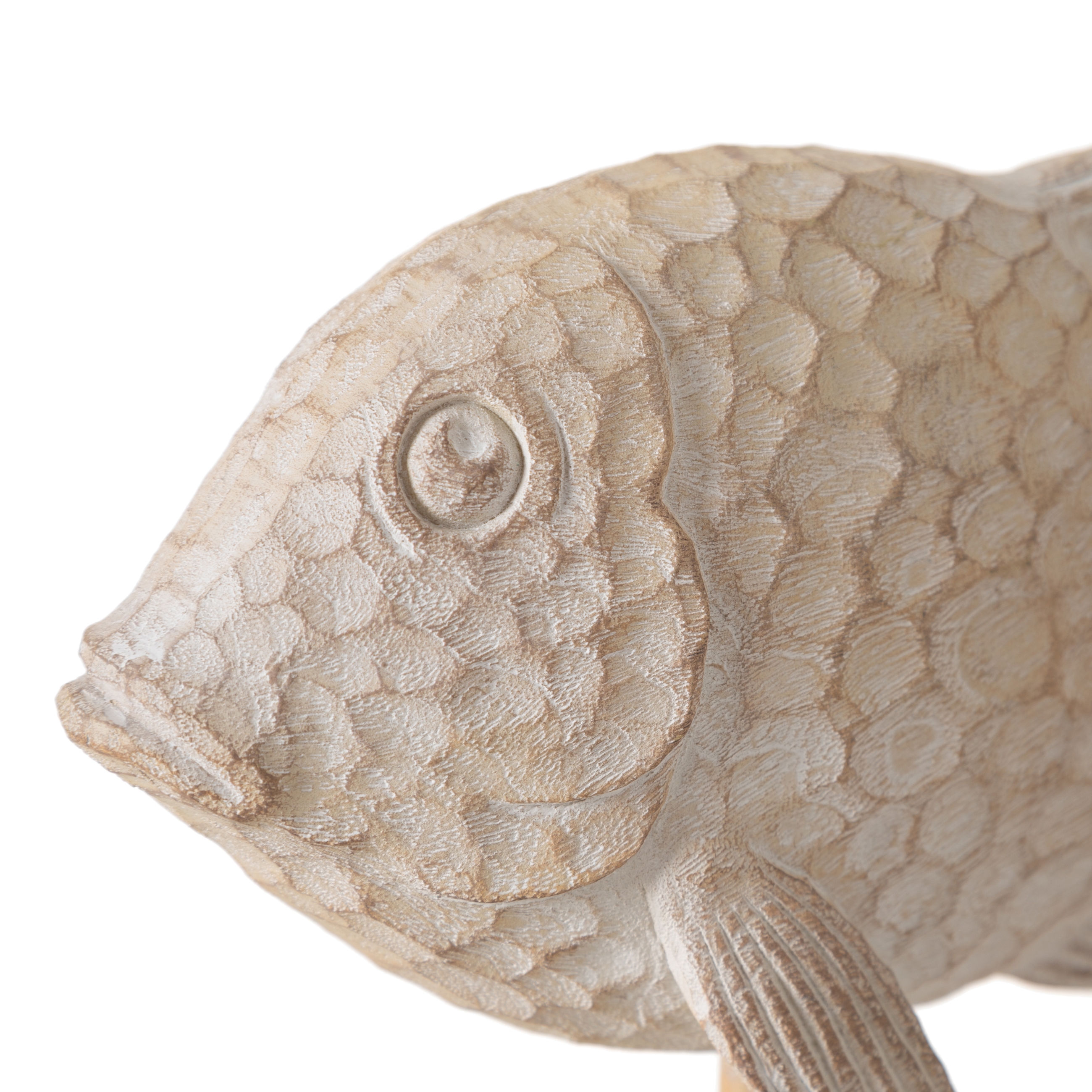 LAGUNA BİBLO 31X22 CM