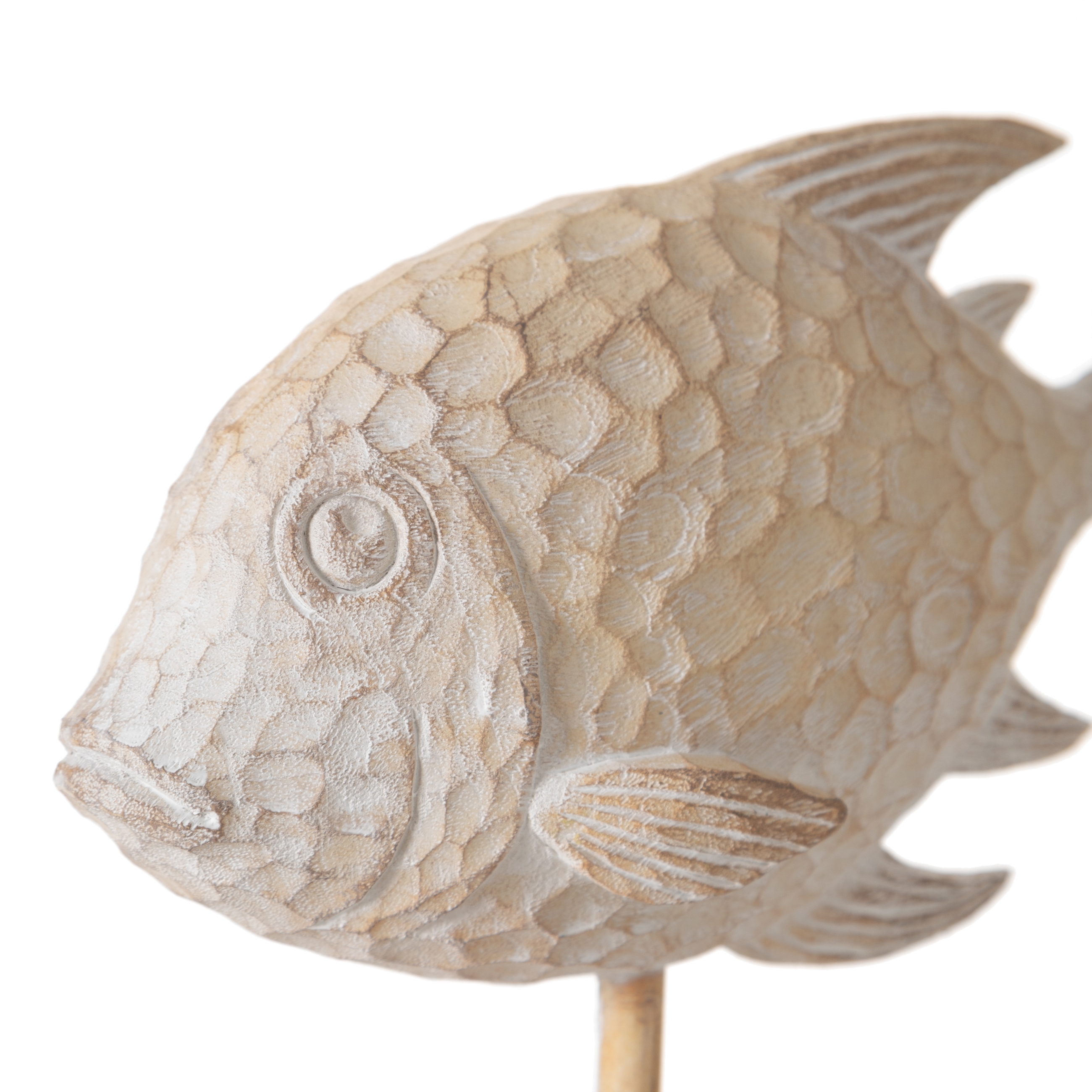 LAGUNA BİBLO 29X25 CM