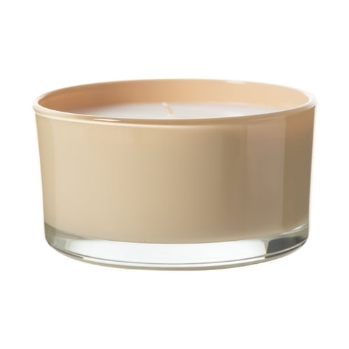  FRENCH VANILLA YATAY MUM