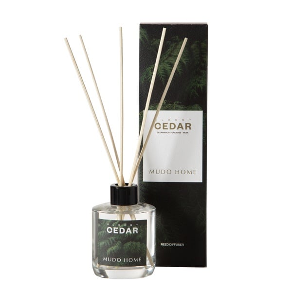 Mudo Home Gloomy Cedar Oda Kokusu 95 Ml Renksiz