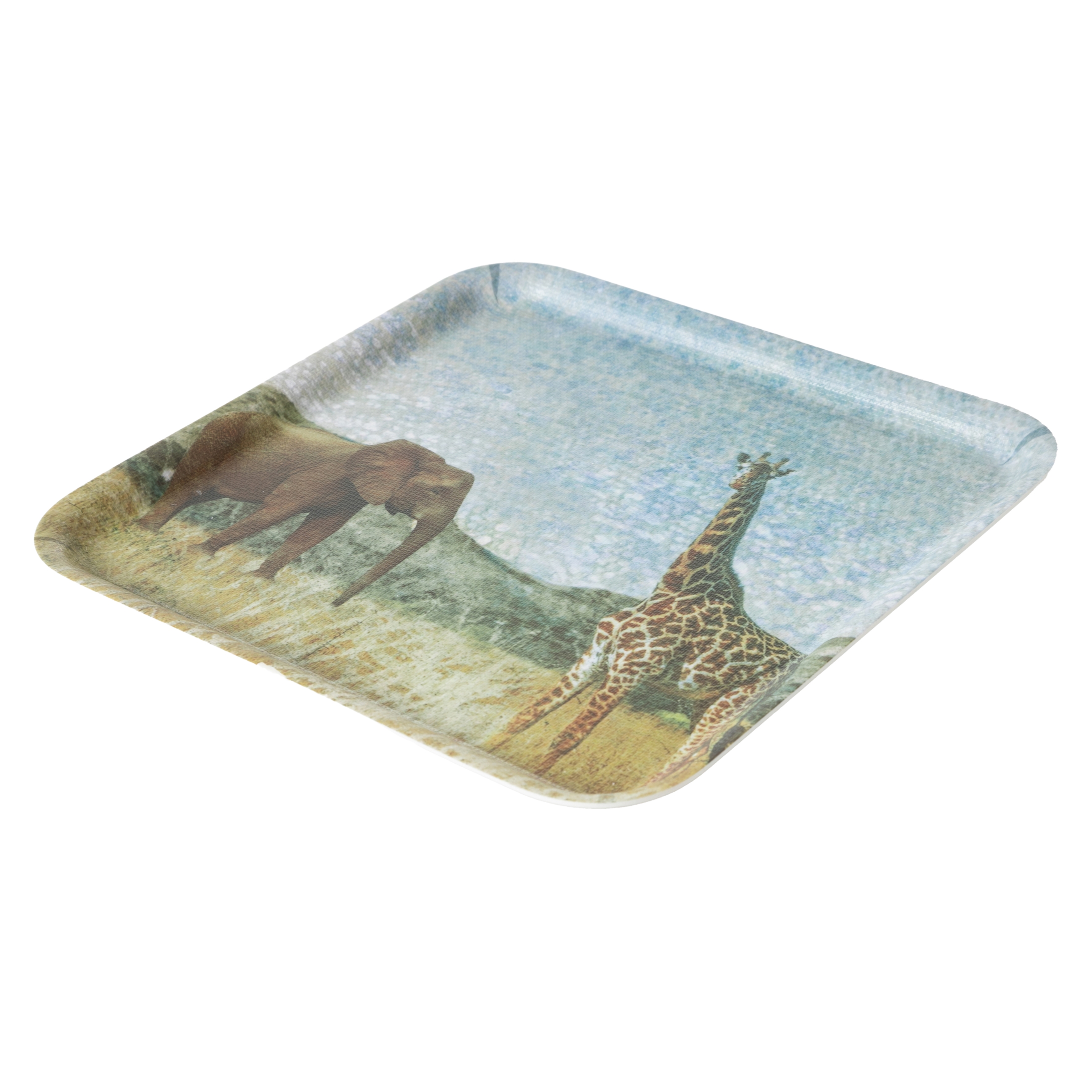 WILD KAYDIRMAZ TEPSİ 34CM