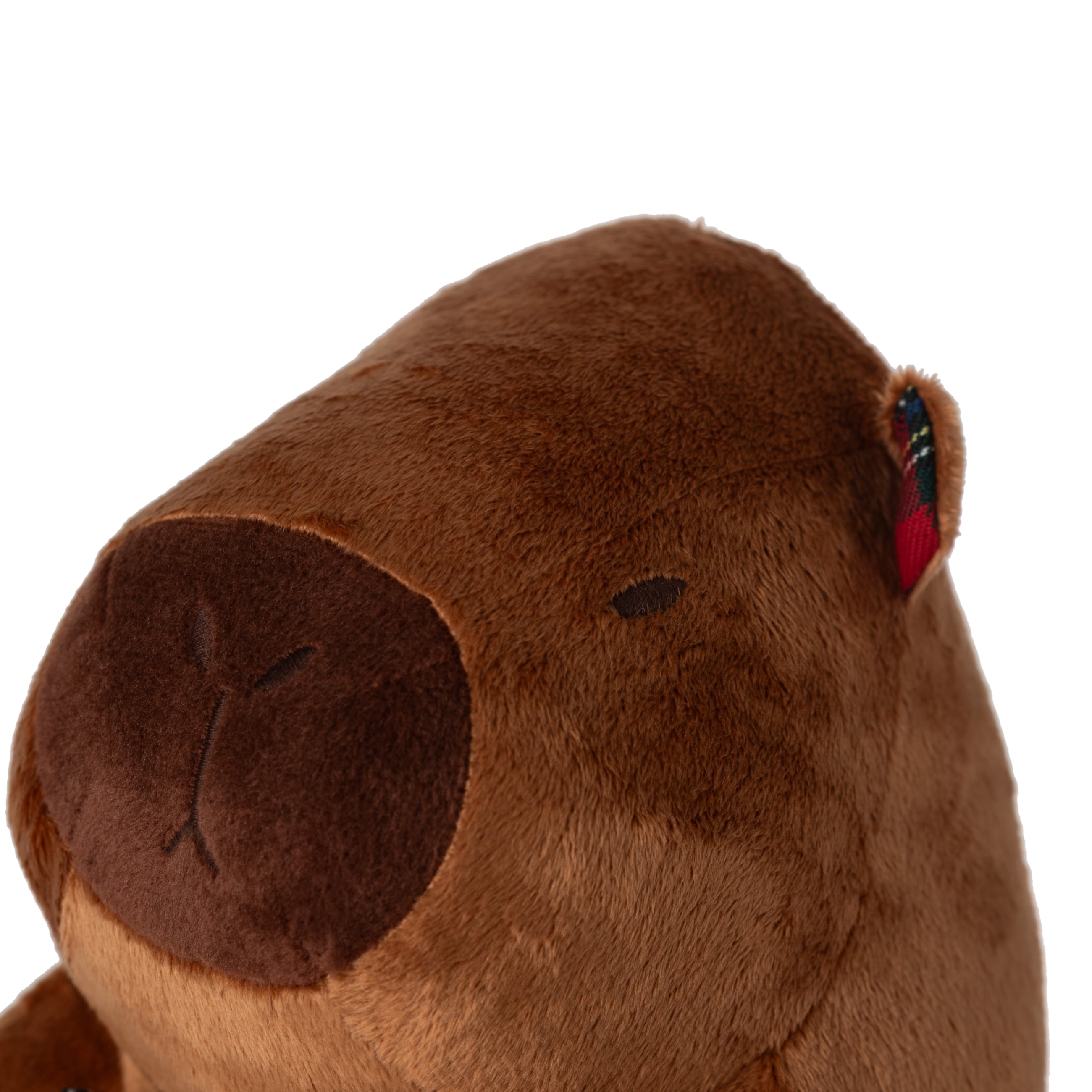 EKOSE PAPYONLU KAPİBARA