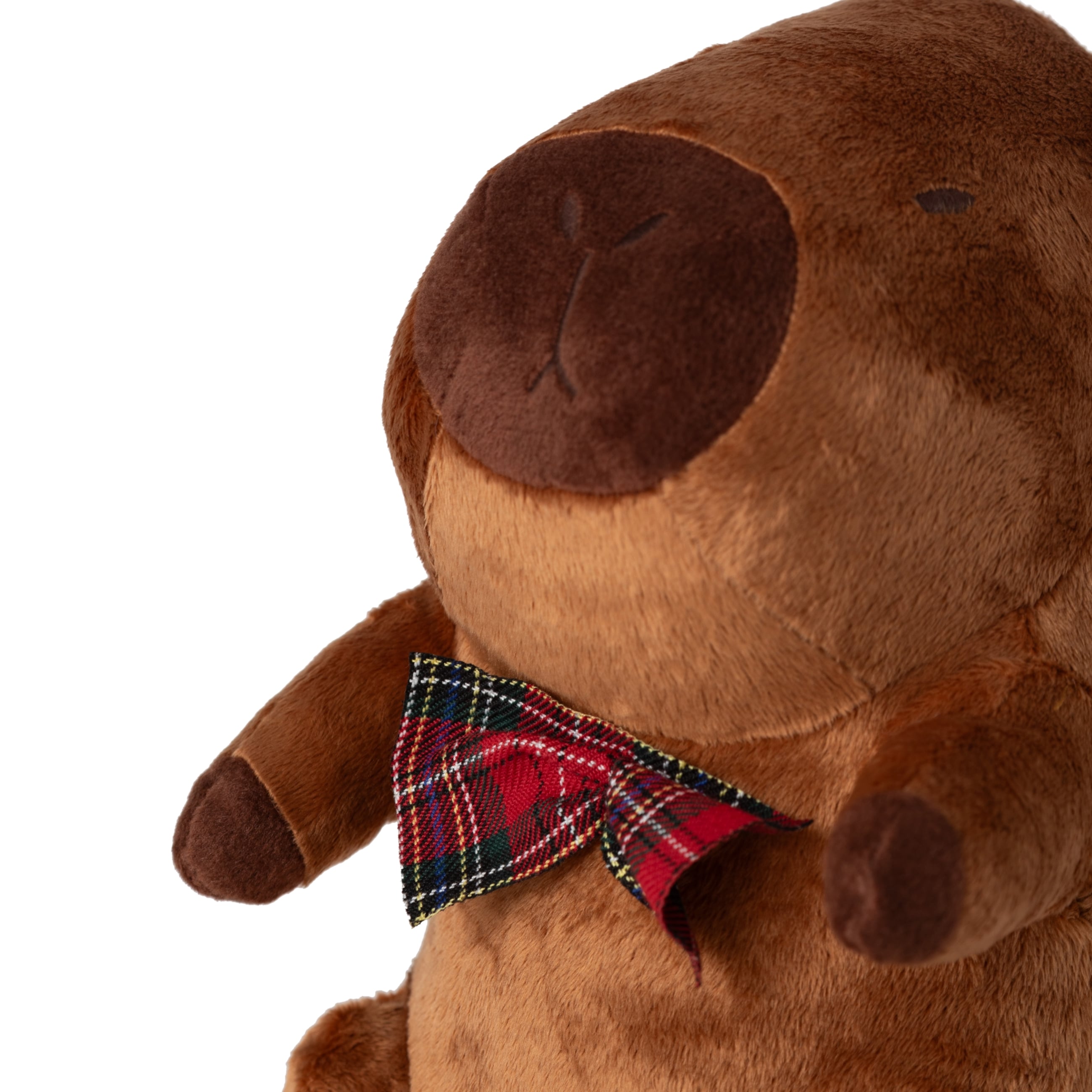 EKOSE PAPYONLU KAPİBARA