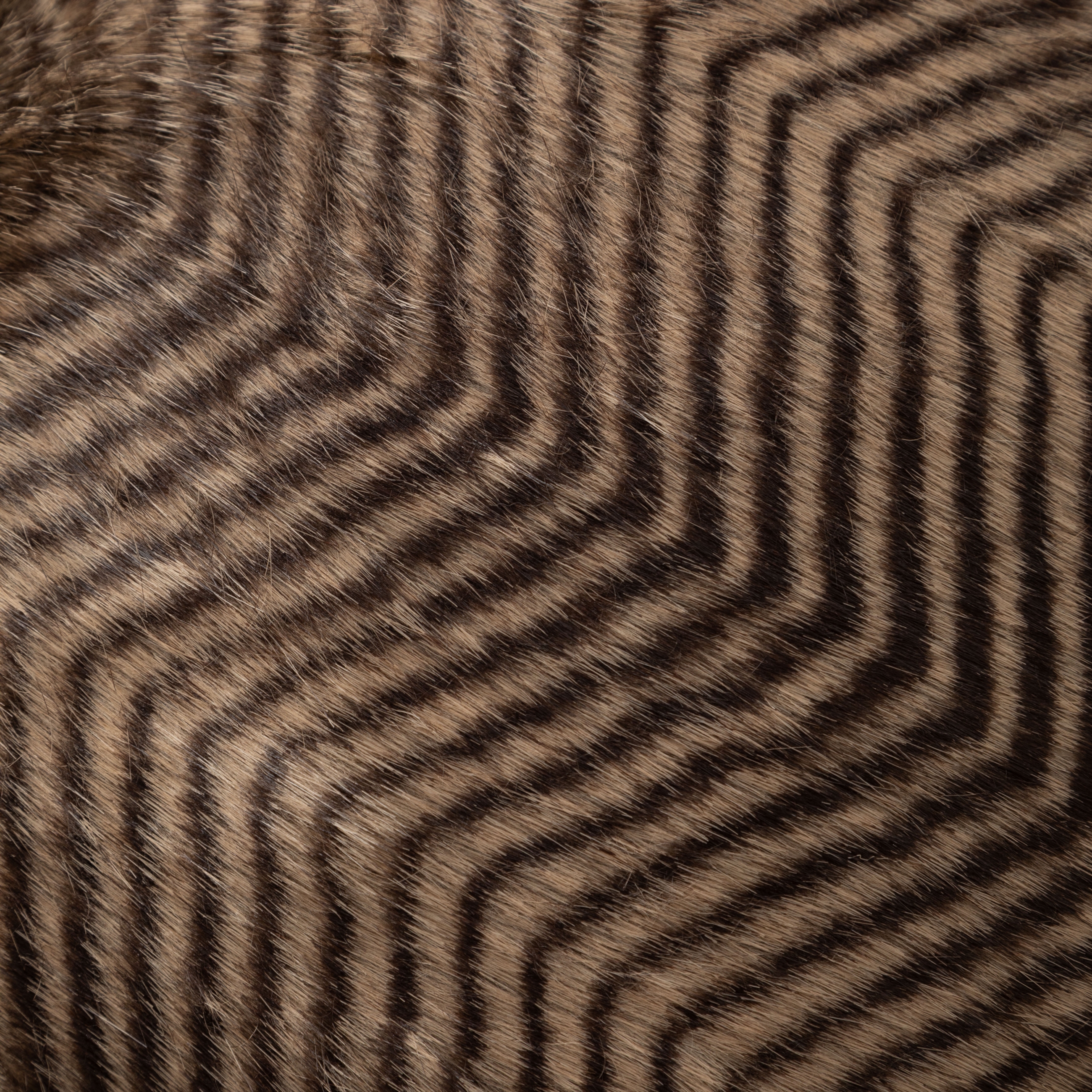 VERONICA KIRLENT SİYAH BEJ 45X45