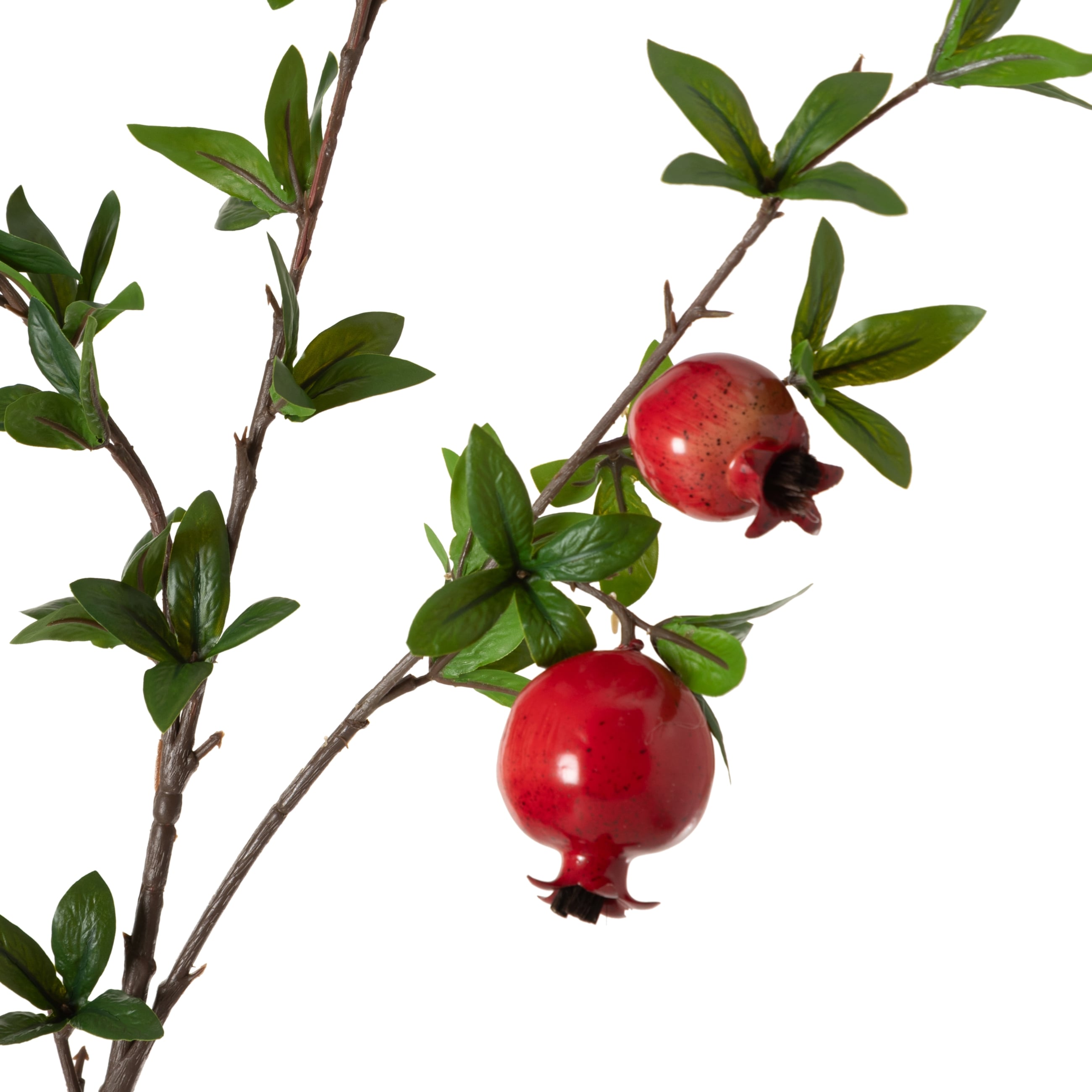 NAR DAL ÇİÇEK MEDIUM