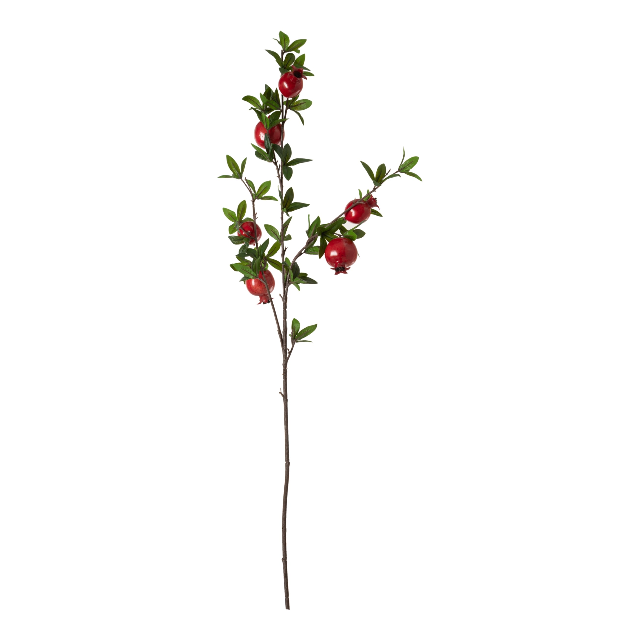 NAR DAL ÇİÇEK MEDIUM