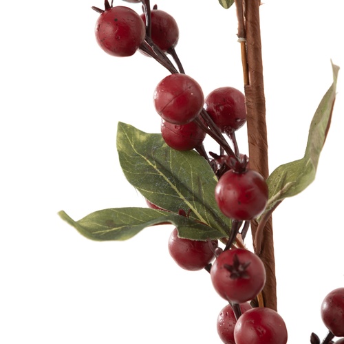  ALIÇ BİTKİSİ  KIRMIZI 83CM